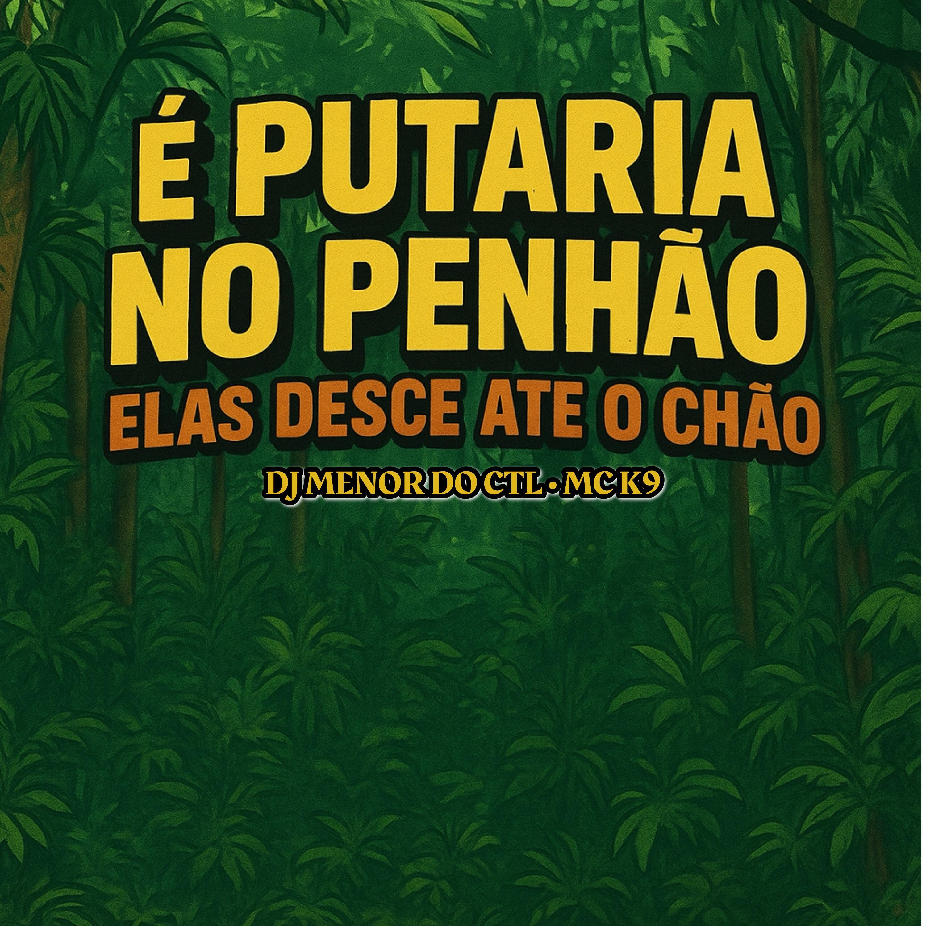 Релиз È Putaria no Penhão Elas Desce Ate o Chão