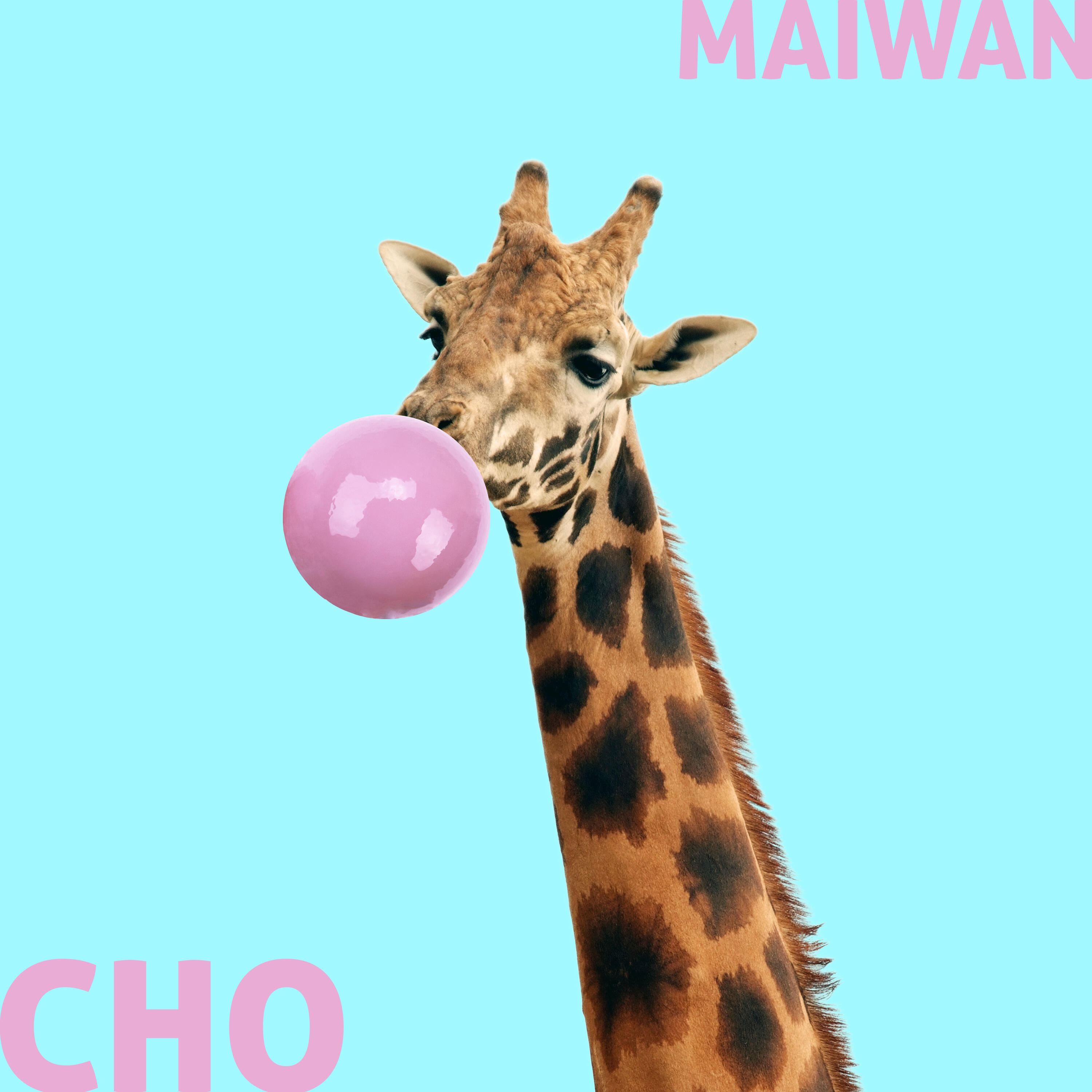 Релиз Cho
