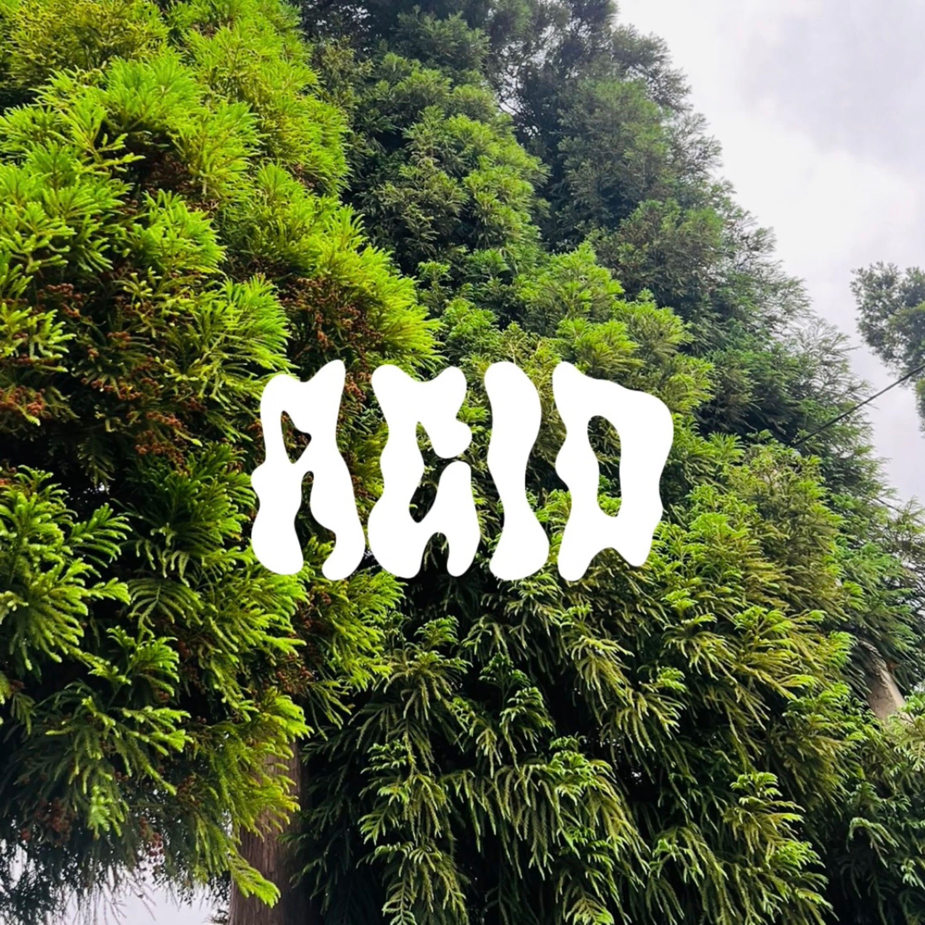 Релиз ACID