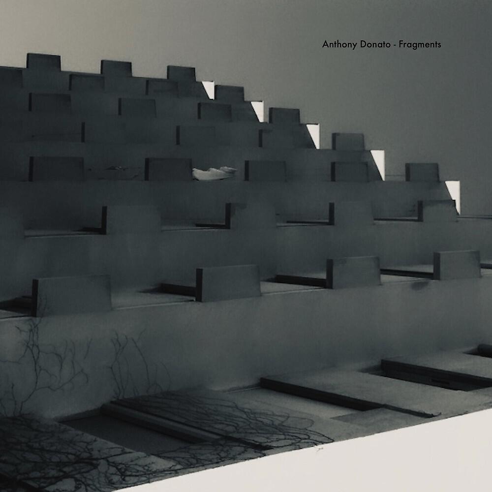 Anthony Donato