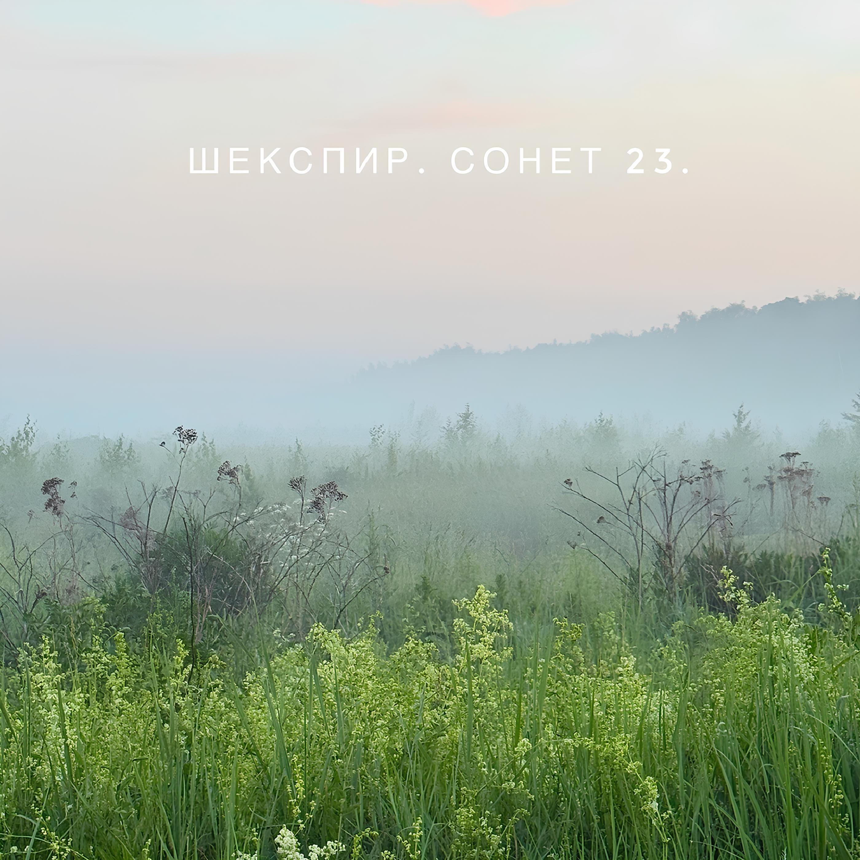 Релиз Шекспир. Сонет 23.