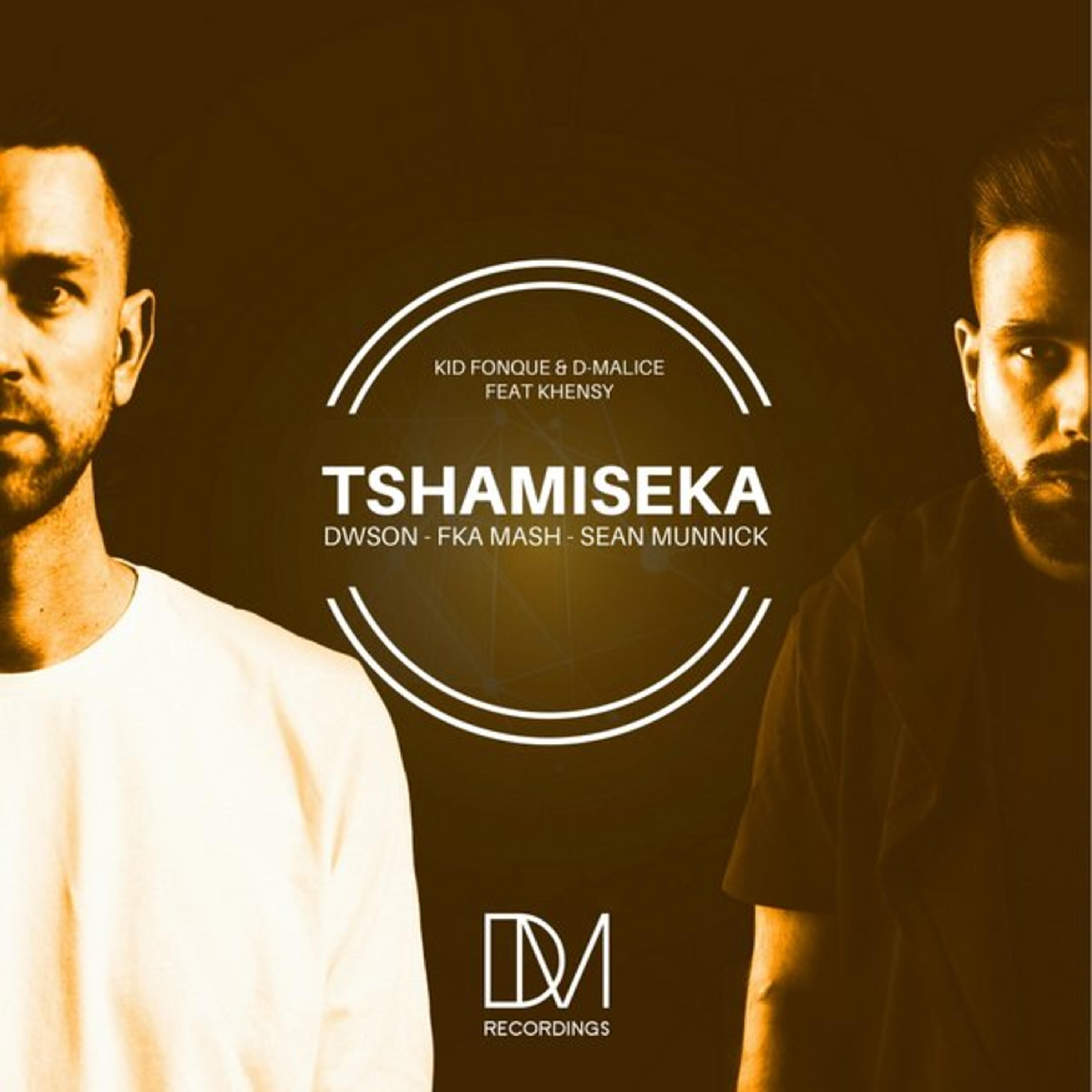 Релиз Tshamiseka (The Remixes)