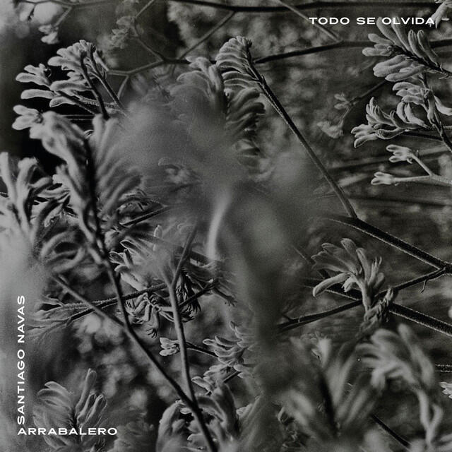 Релиз Todo Se Olvida (Santiago Navas Remix)