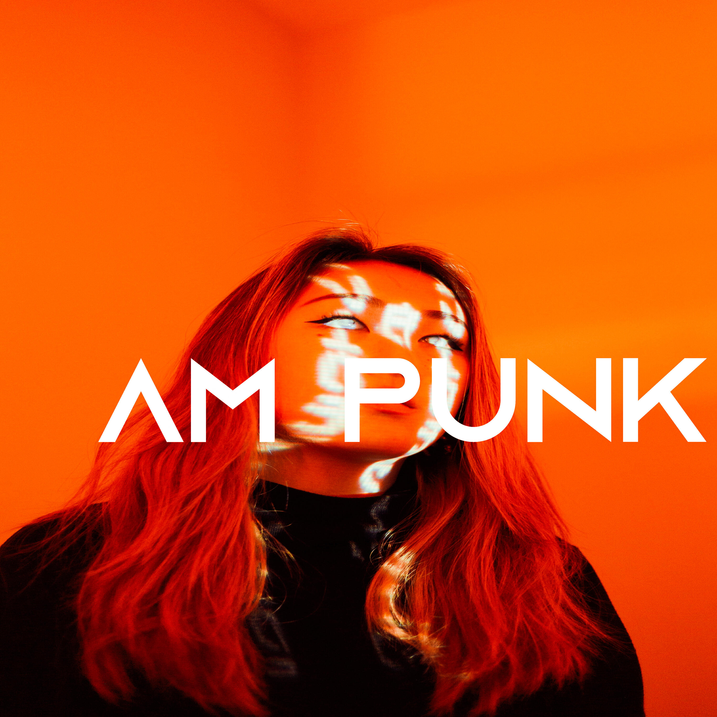Релиз Am Punk