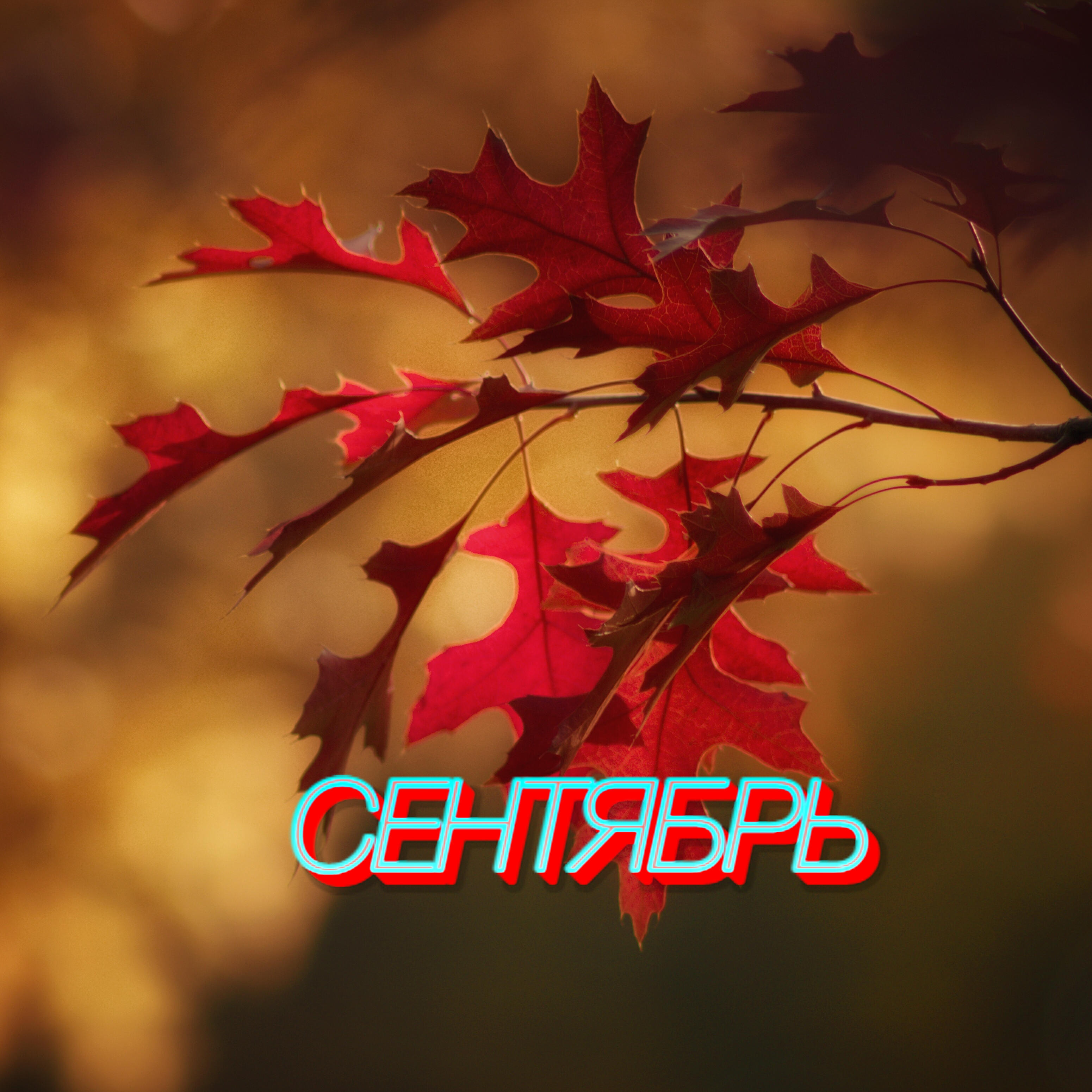 Релиз Сентябрь