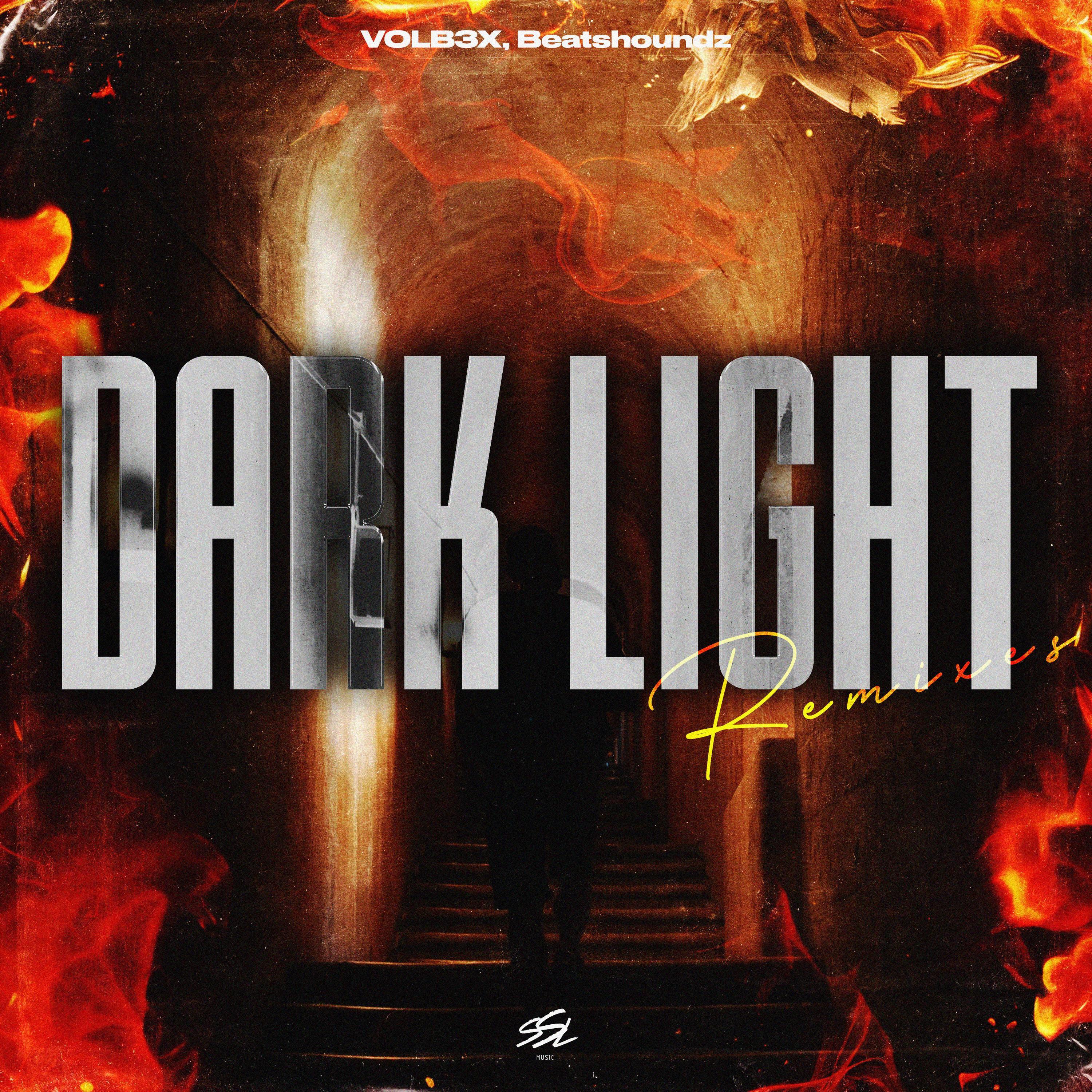 Релиз Dark Light (Remixes)