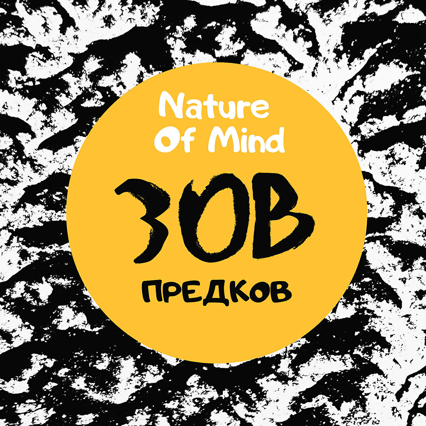Nature Of Mind