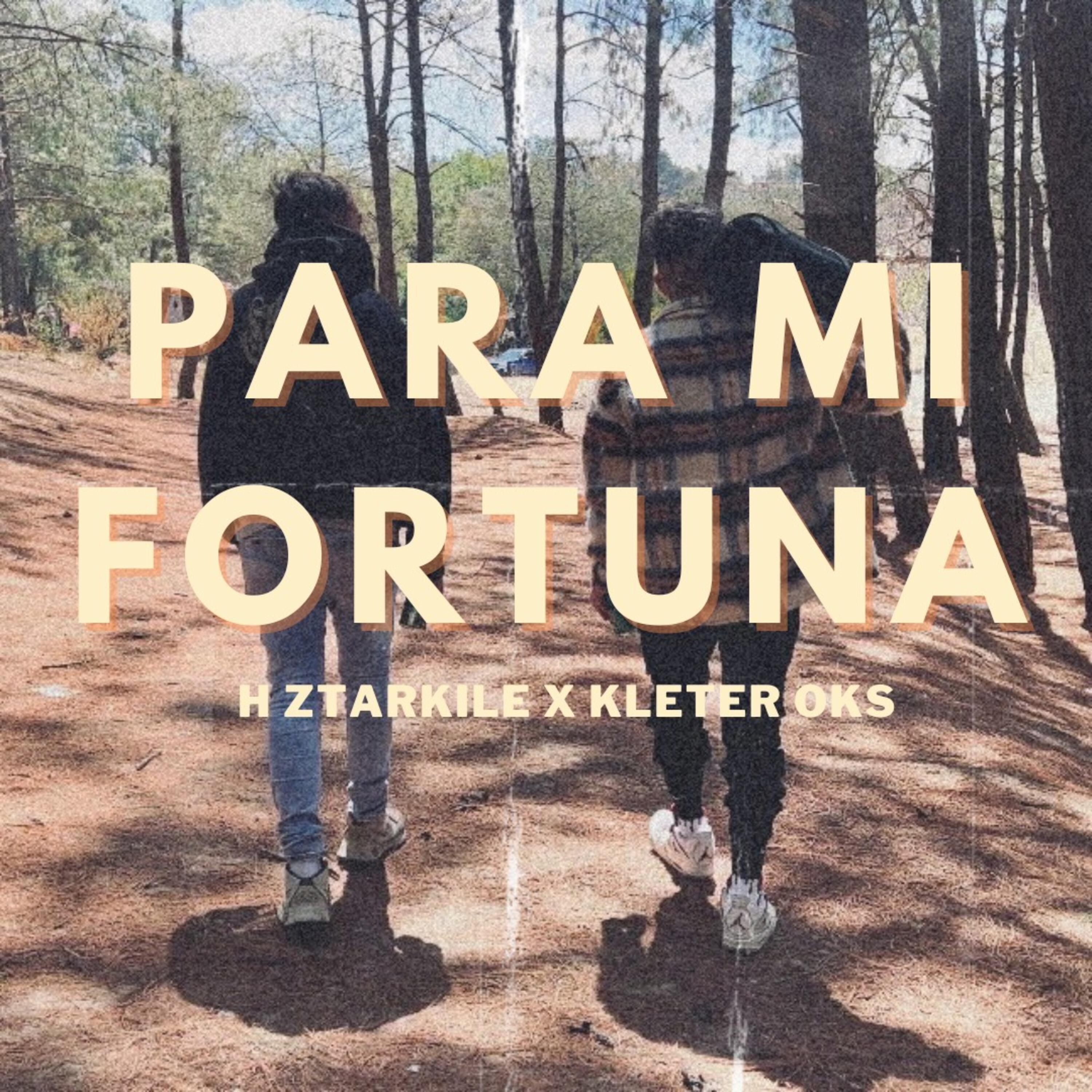 Релиз Para Mi Fortuna