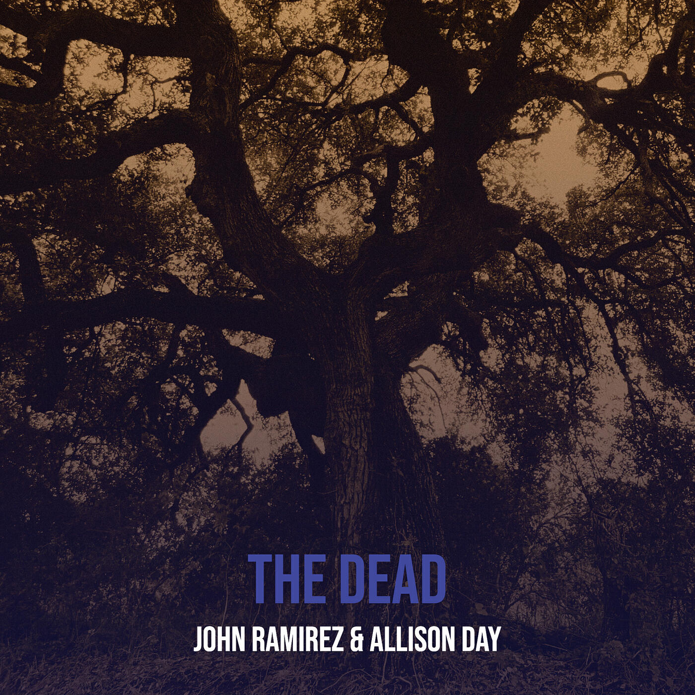 Релиз The Dead