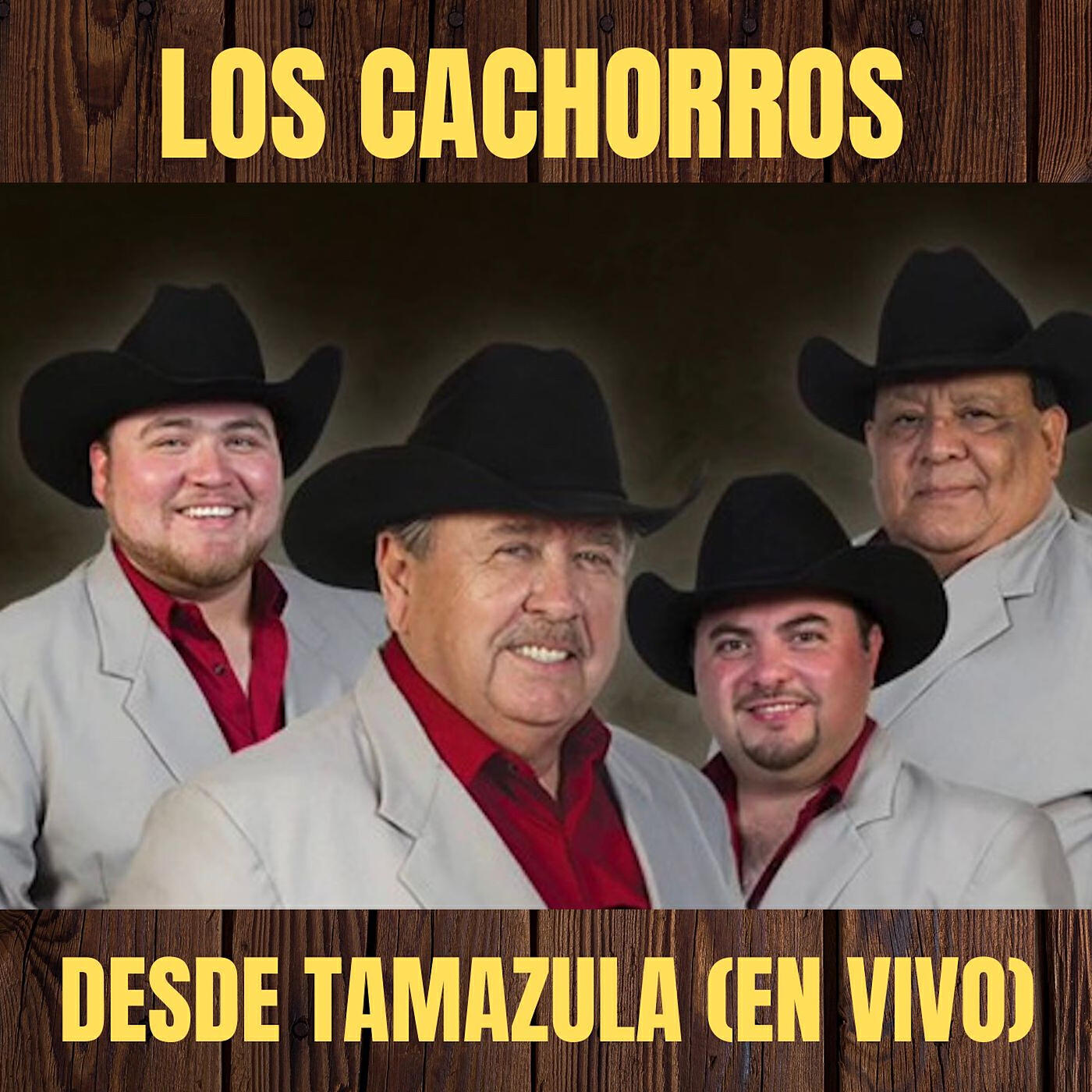 Релиз Desde Tamazula (En Vivo)