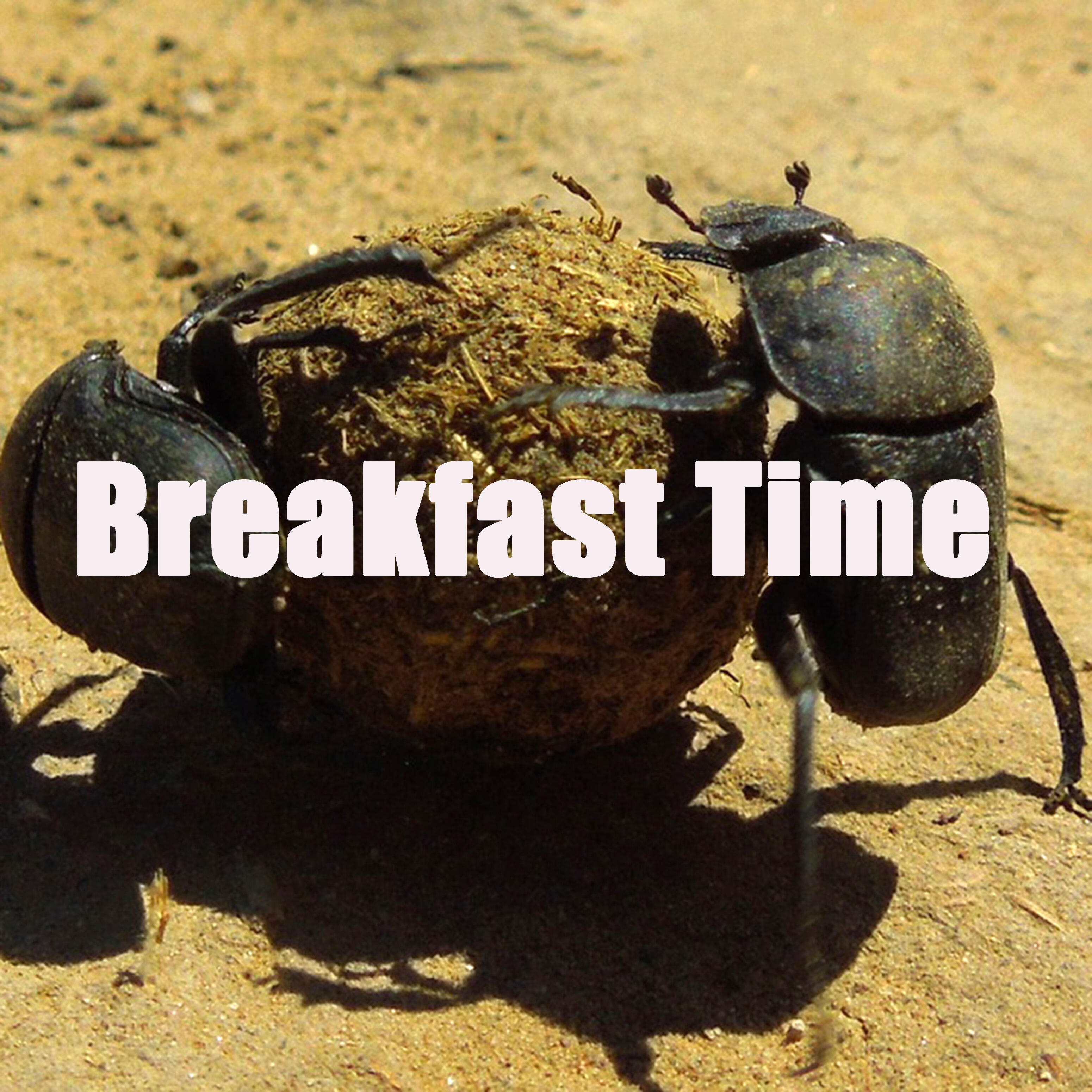 Релиз Breakfast Time