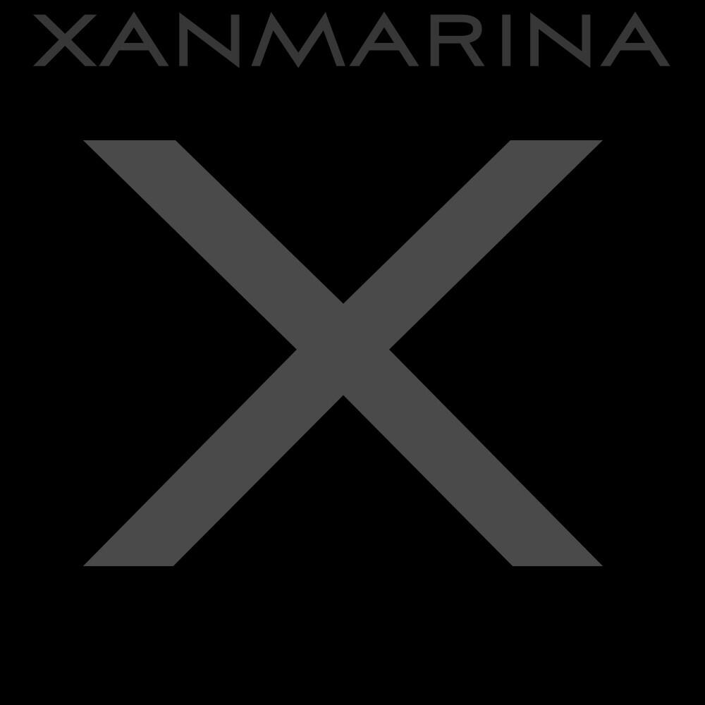 Релиз X