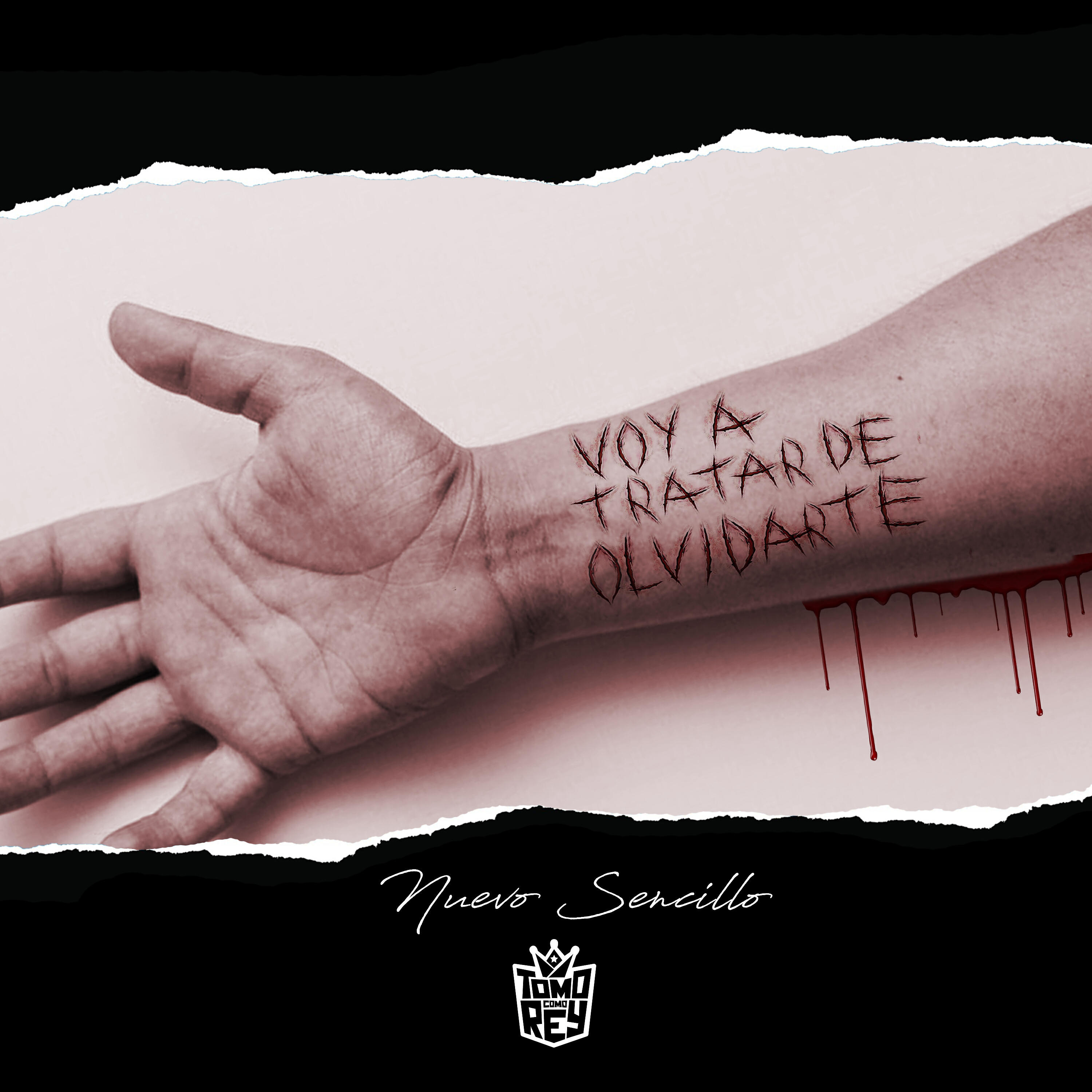 Релиз Voy a Tratar de Olvidarte