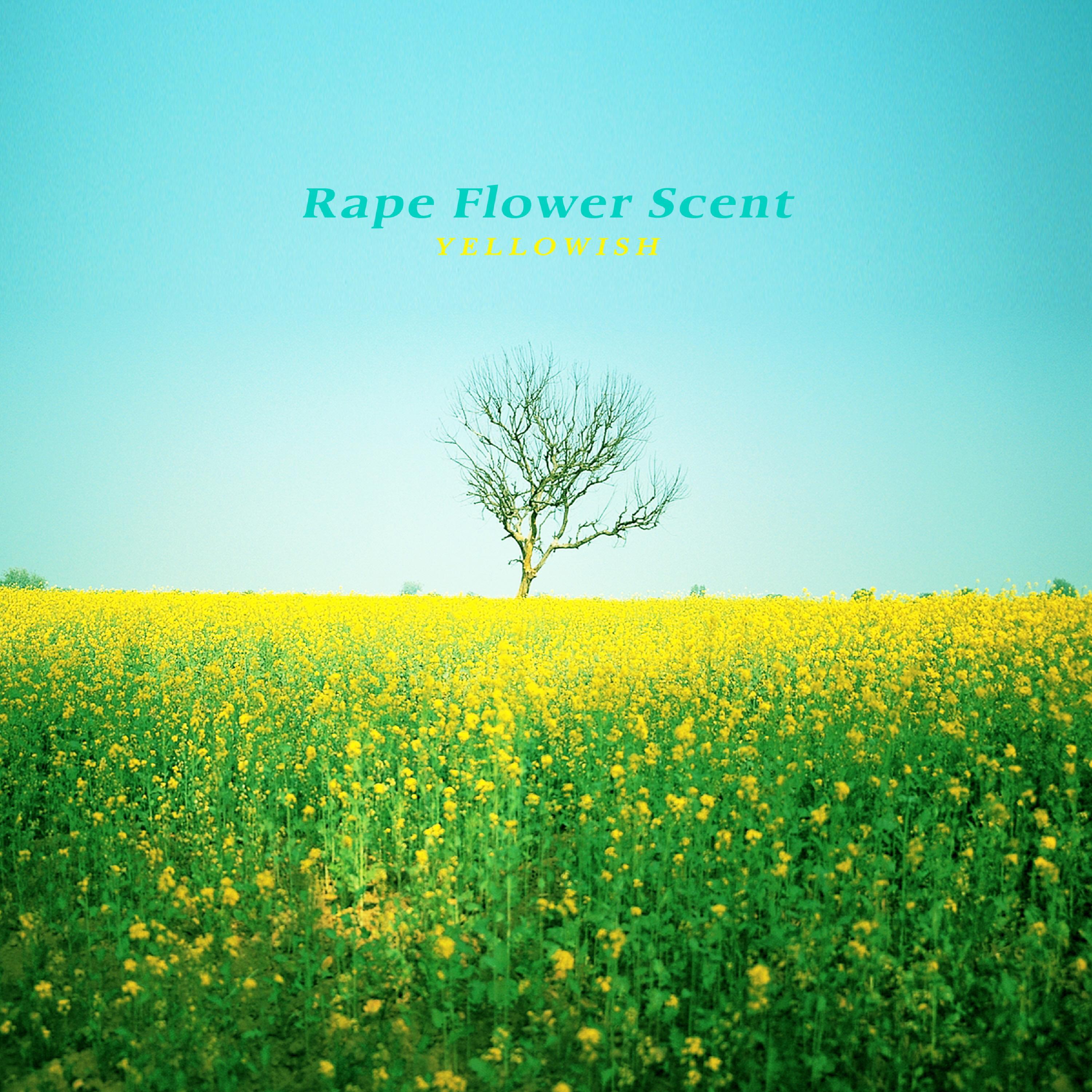 Релиз Rape Flower Scent