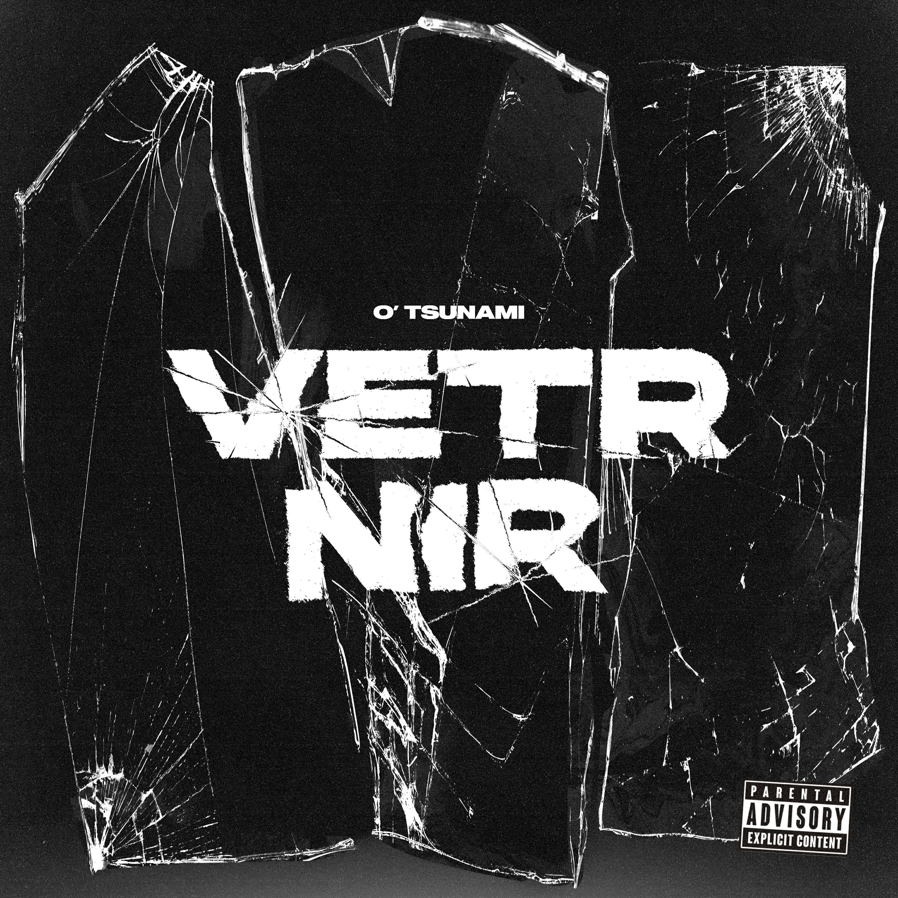 Релиз VETR NIR