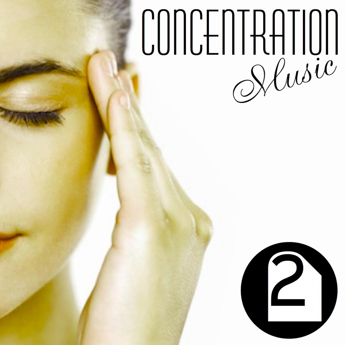 Релиз Concentration Music, Vol. 2