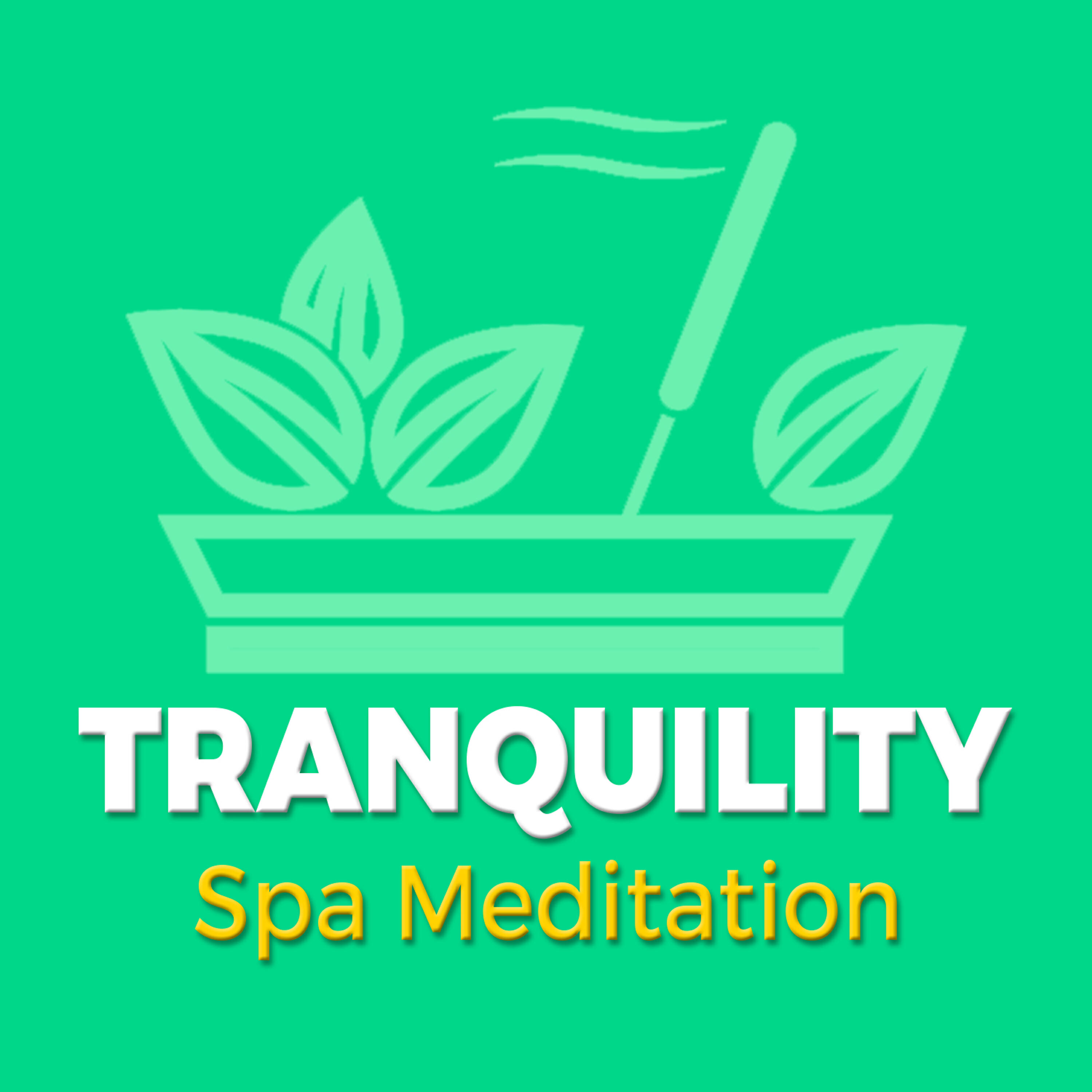 Tranquility Spa Meditation