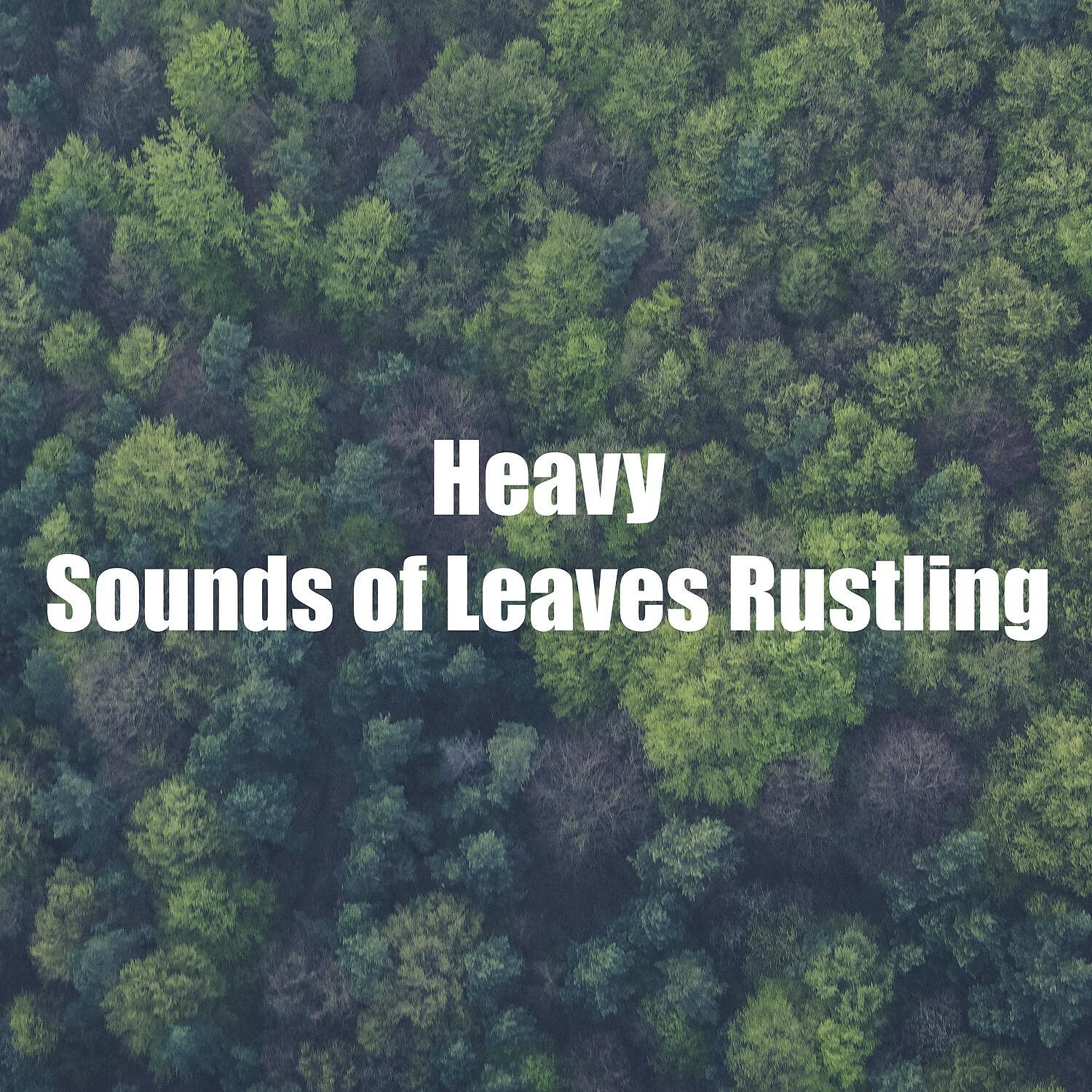 Релиз Heavy Sounds of Leaves Rustling