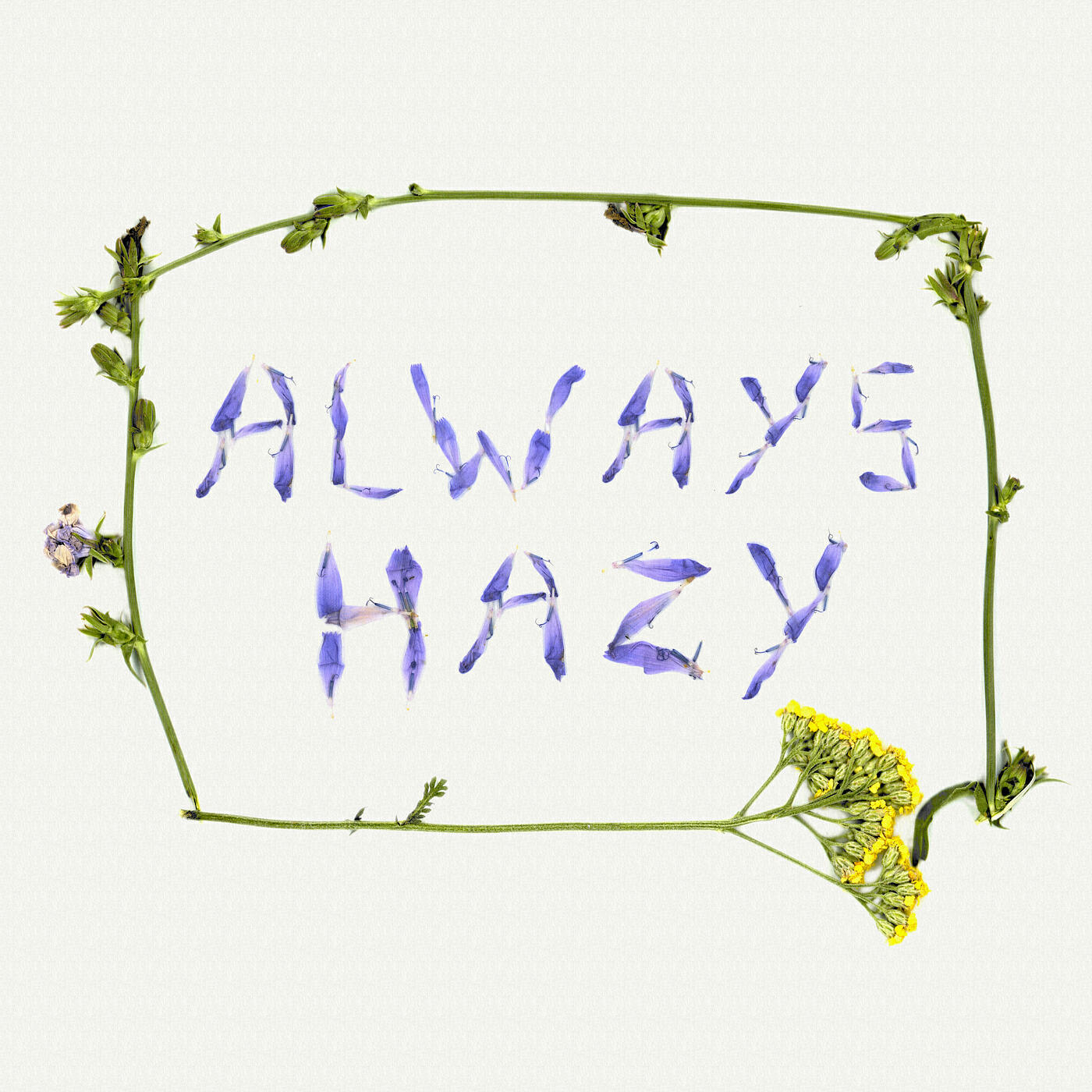 Релиз Always Hazy