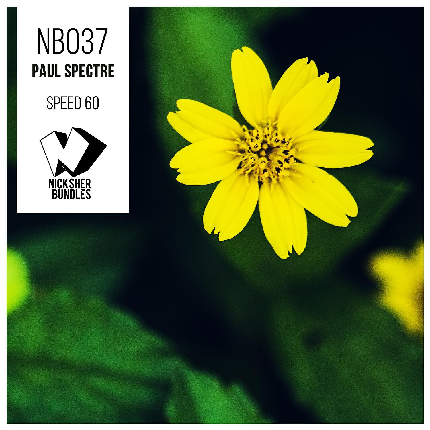 Релиз Speed 60