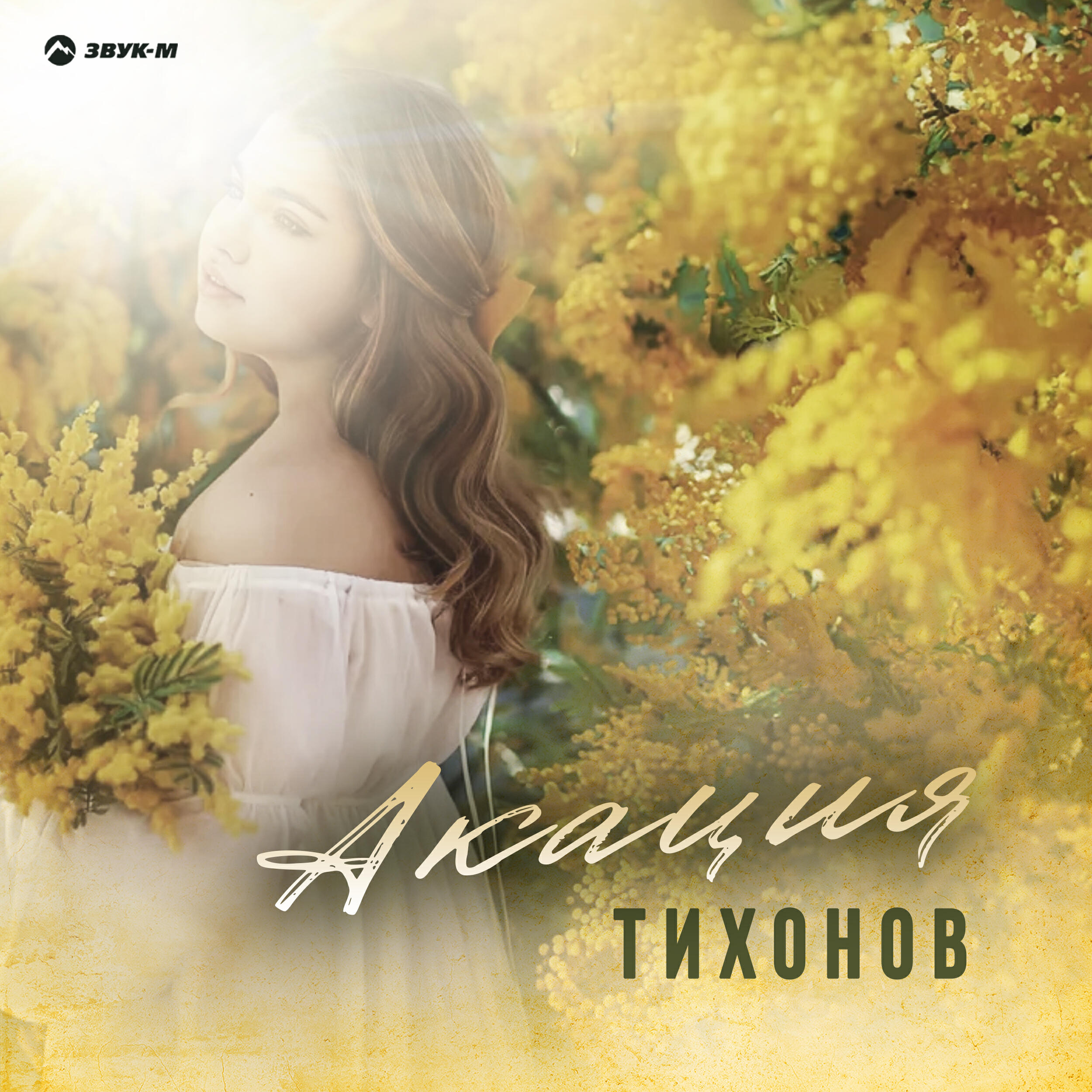Релиз Акация