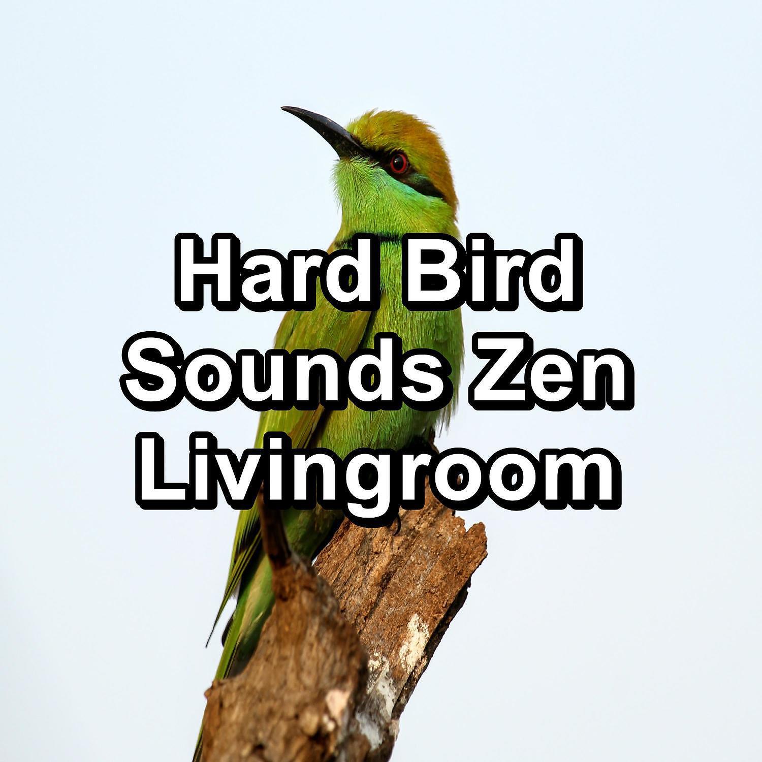 Релиз Hard Bird Sounds Zen Livingroom