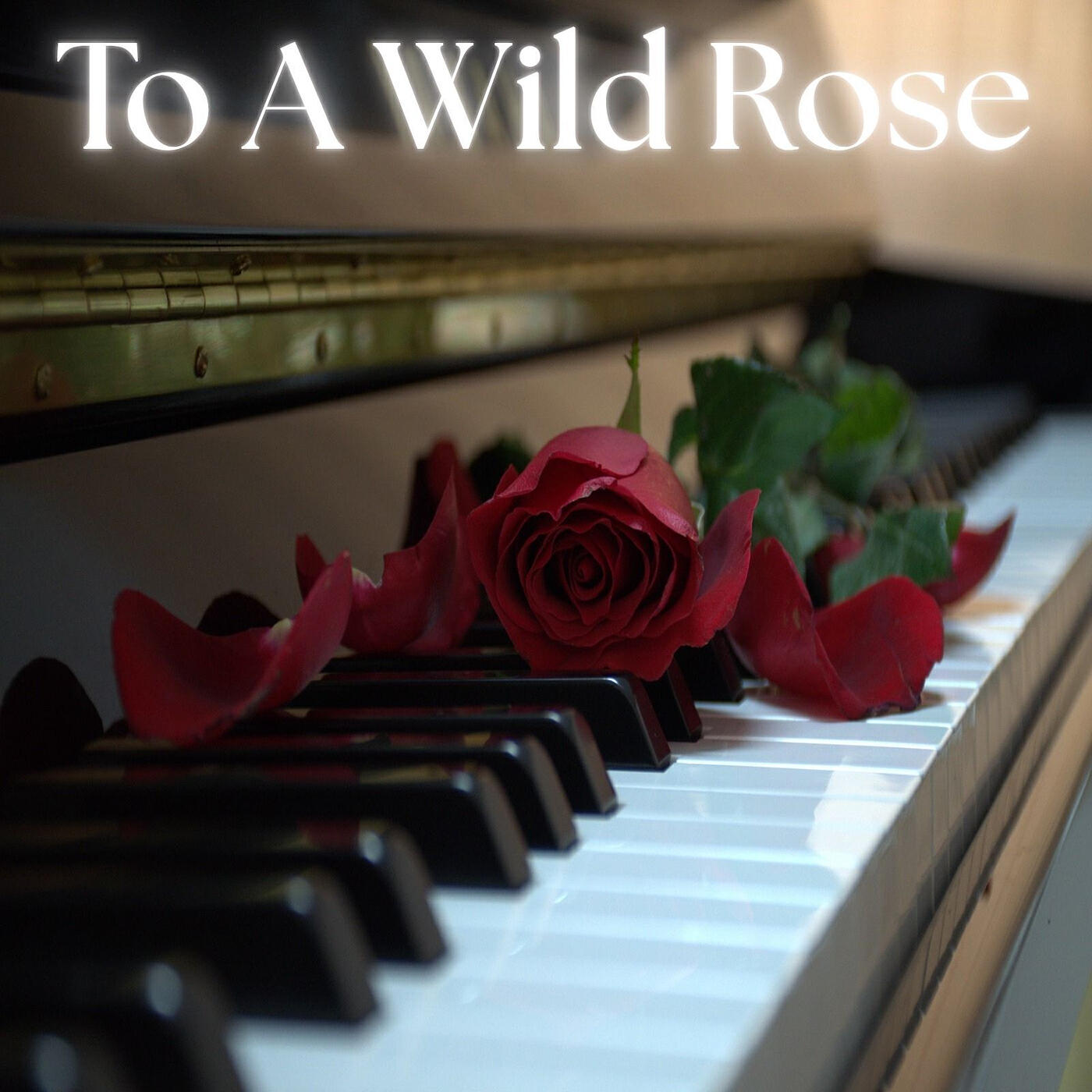 Релиз To a Wild Rose