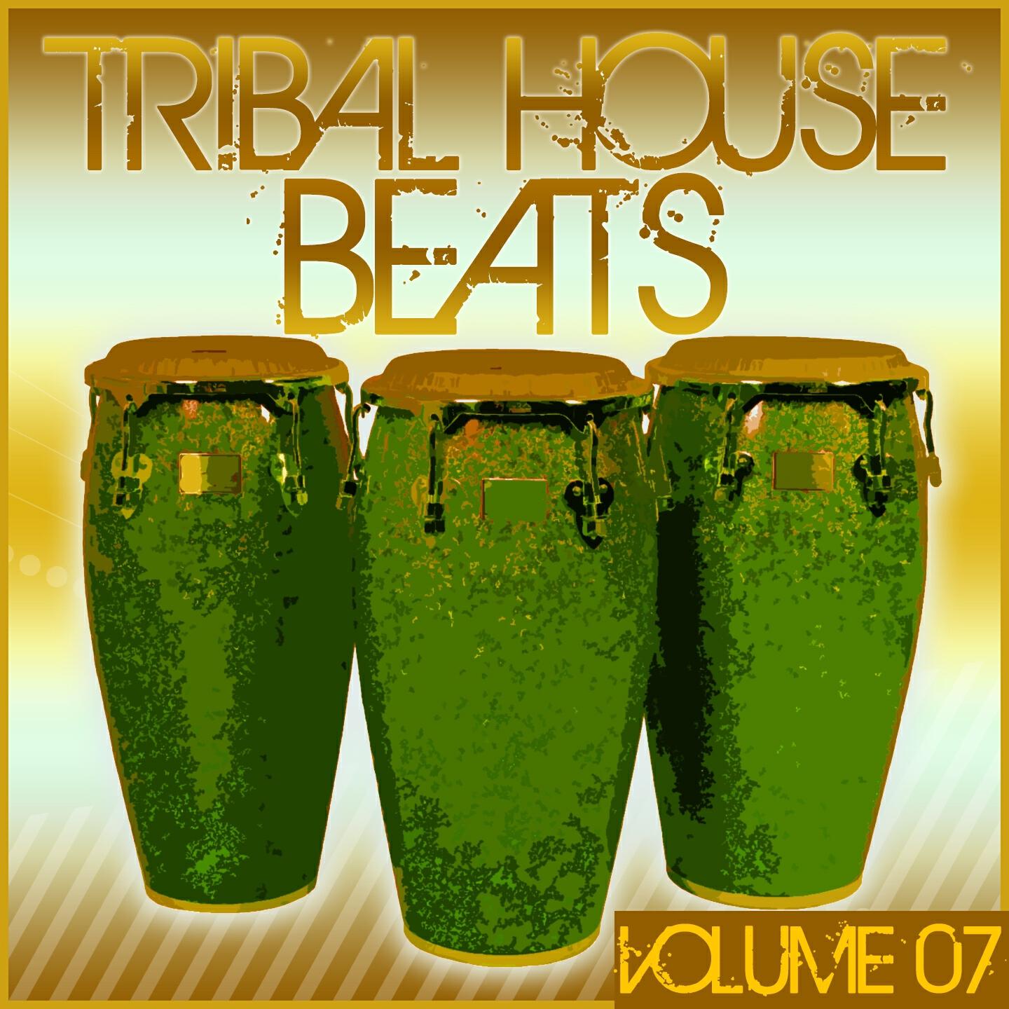 Релиз Tribal House Beats, Vol. 07