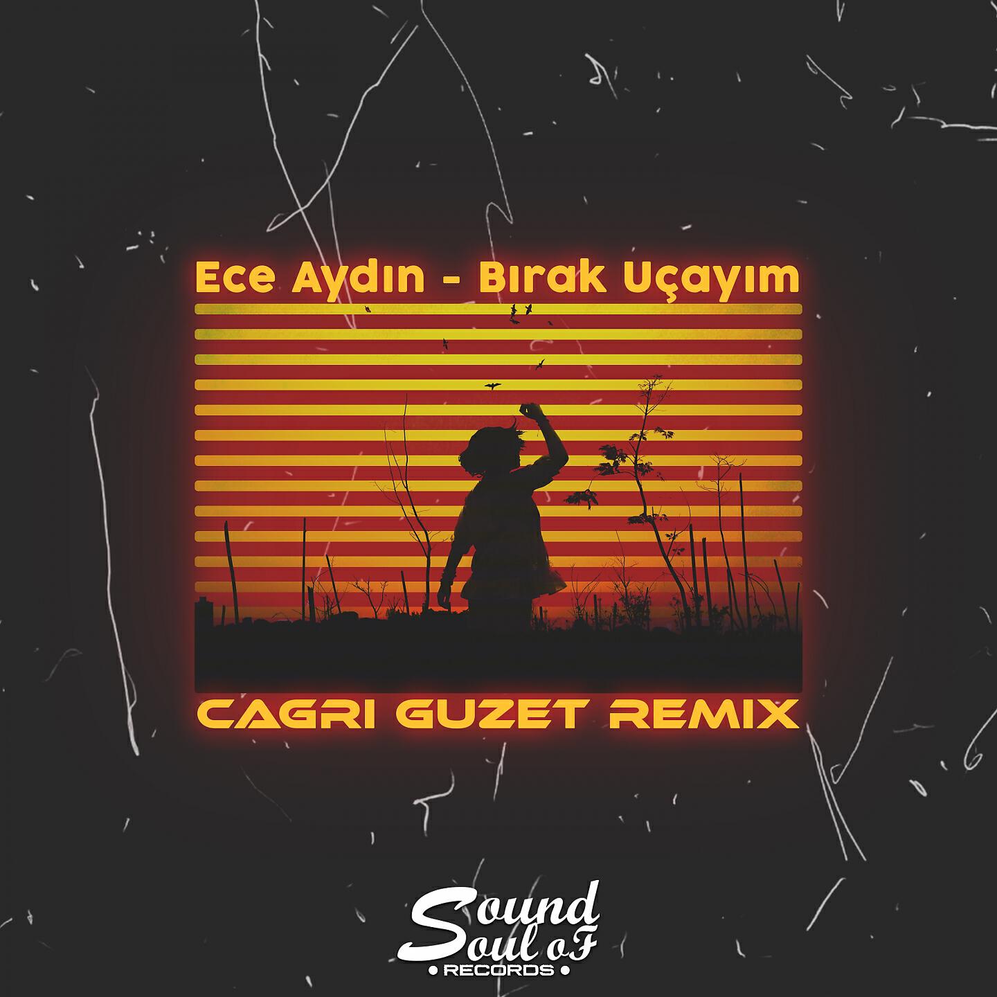 Ece Aydın