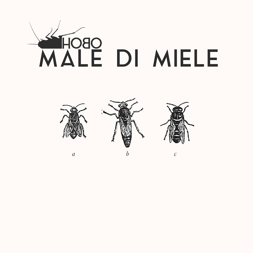 Релиз Male di miele