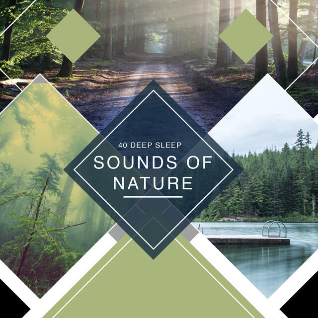 Релиз 40 Deep Sleep Sounds of Nature