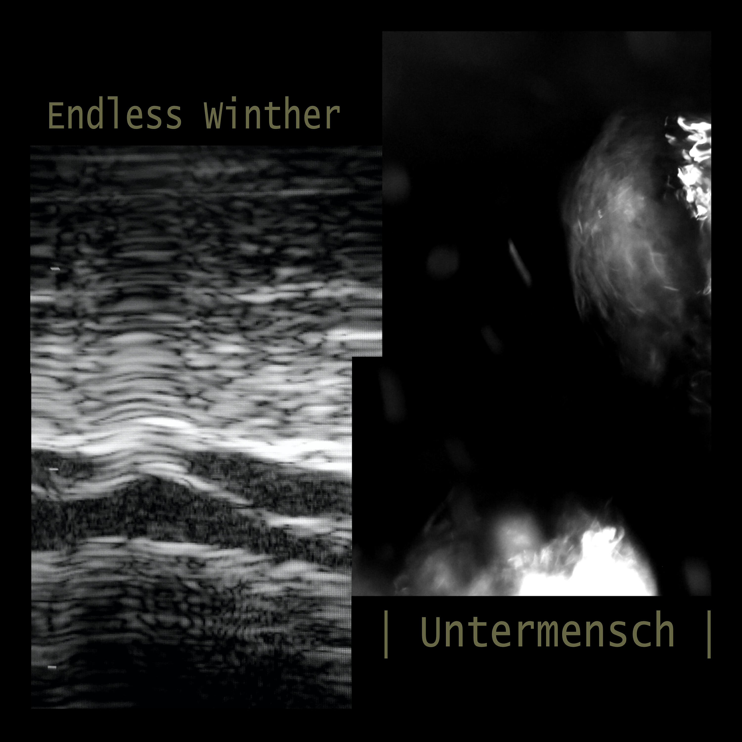 Endless Winther