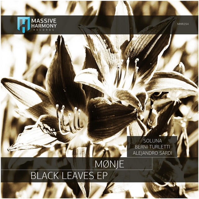 Релиз Black Leaves