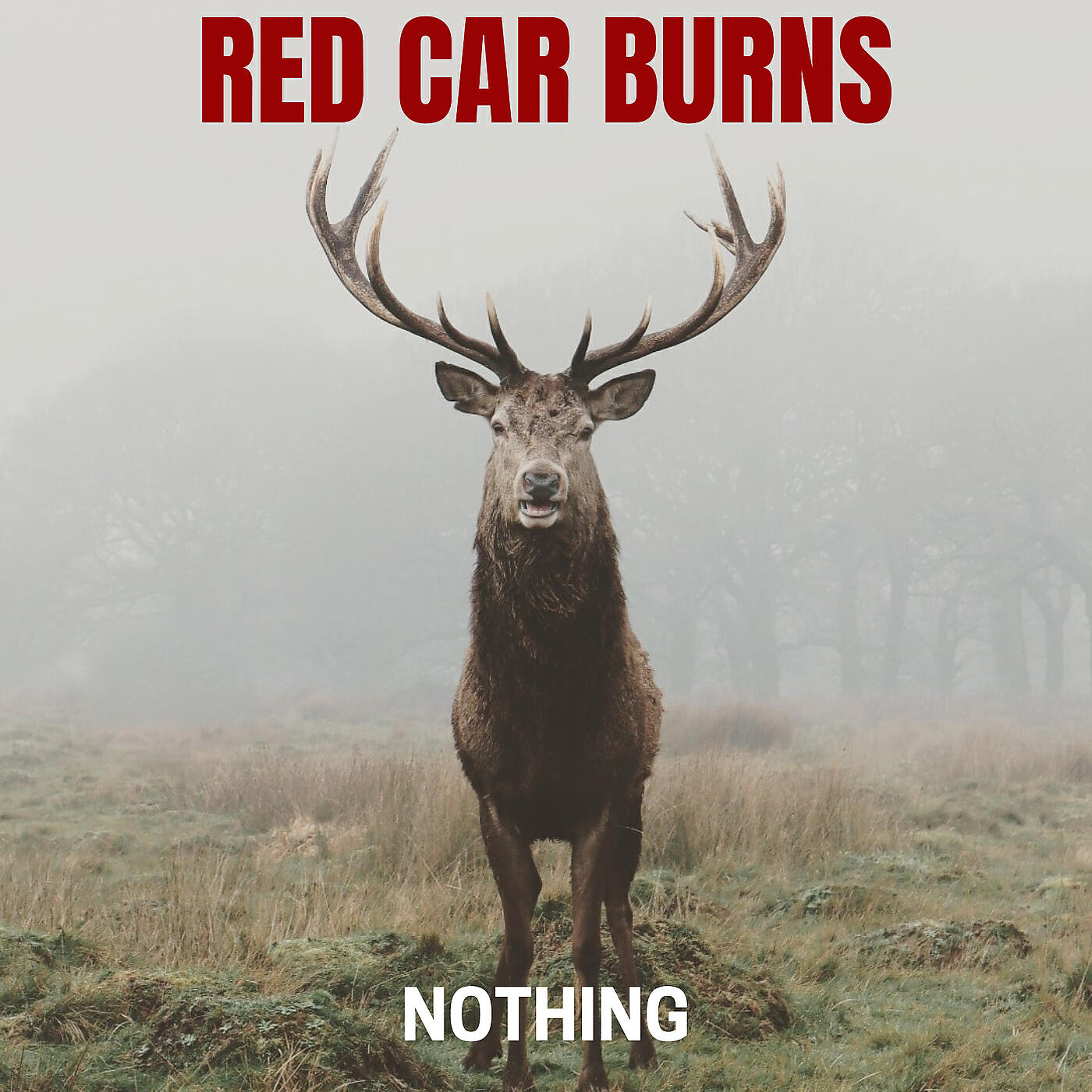 Релиз Nothing