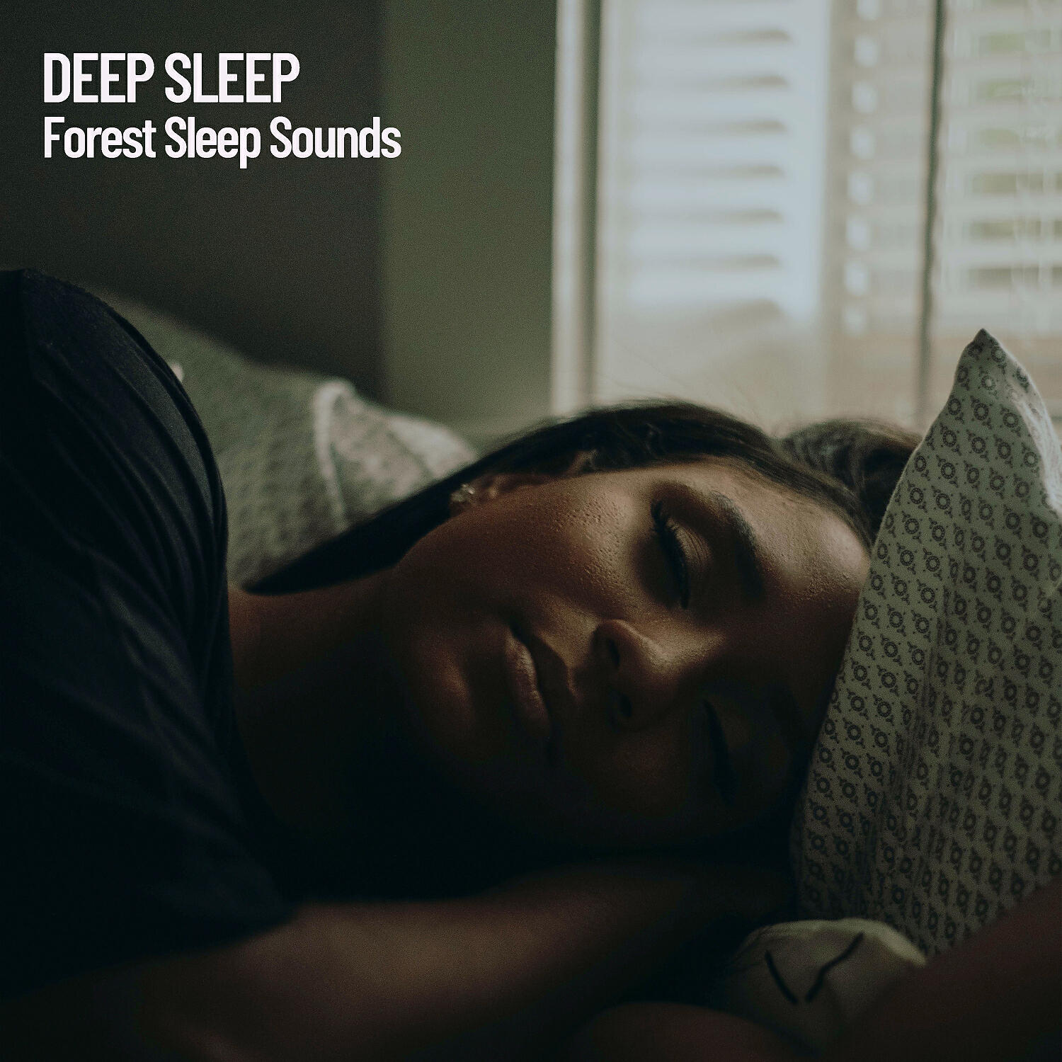 Постер альбома Dreams: Forest Sleep Sounds