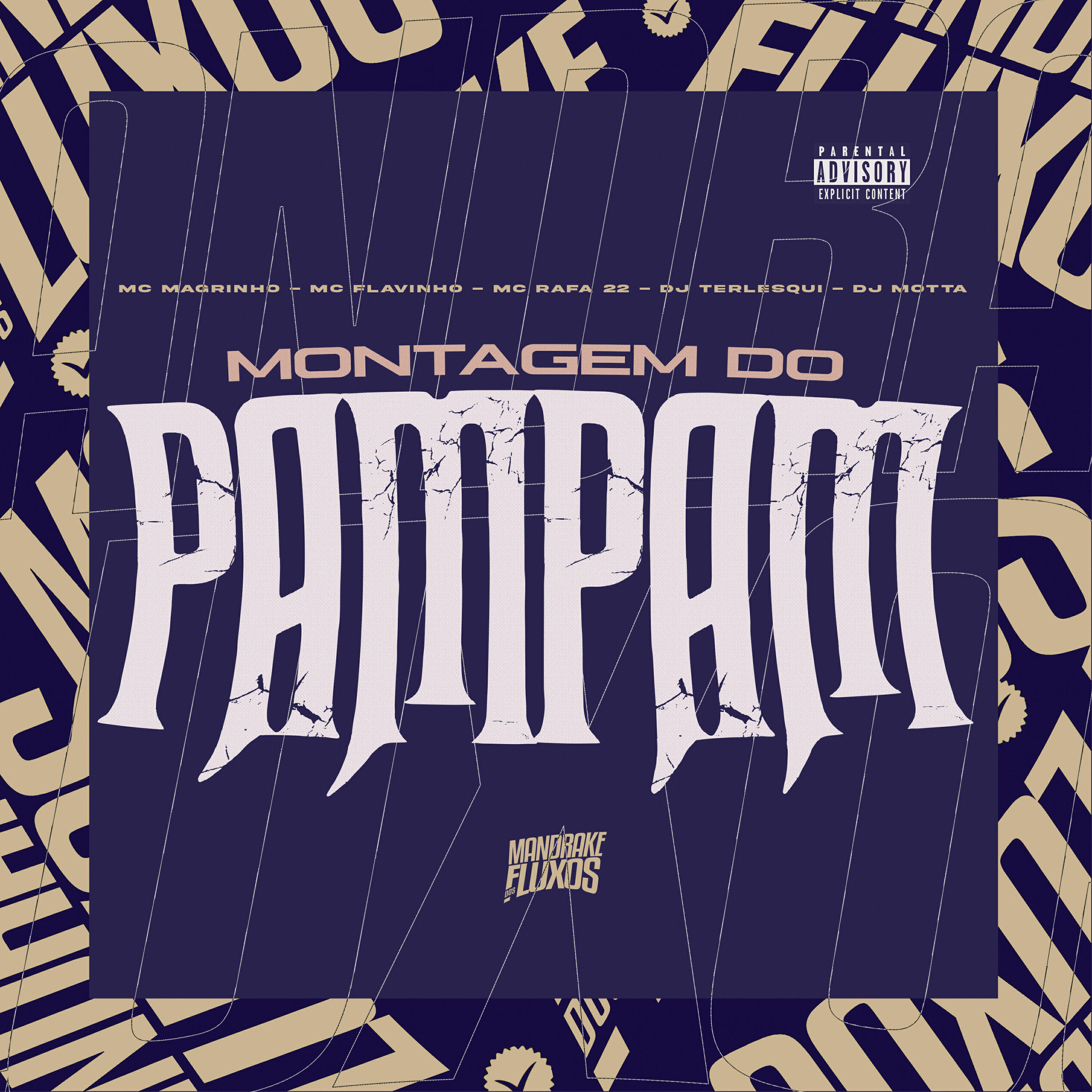Релиз Montagem Do Pampam