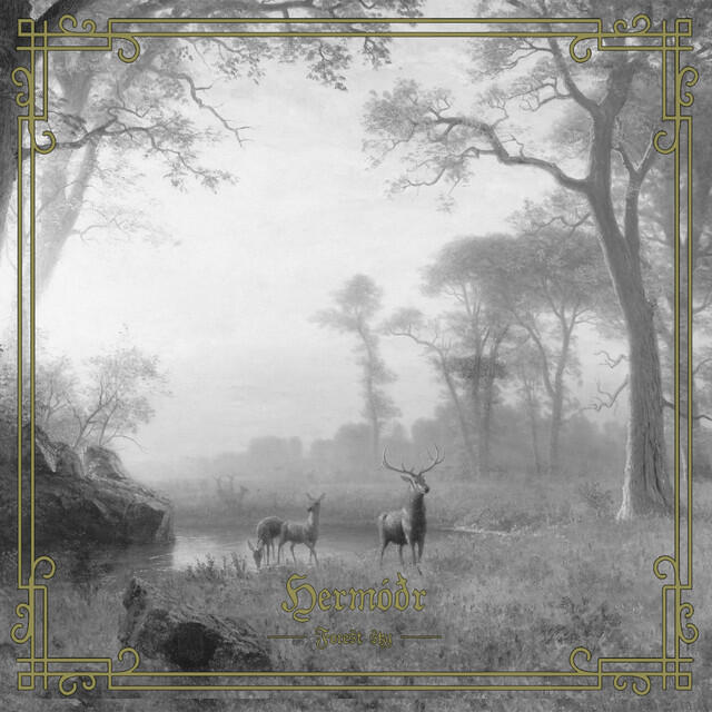 Релиз Forest Sky