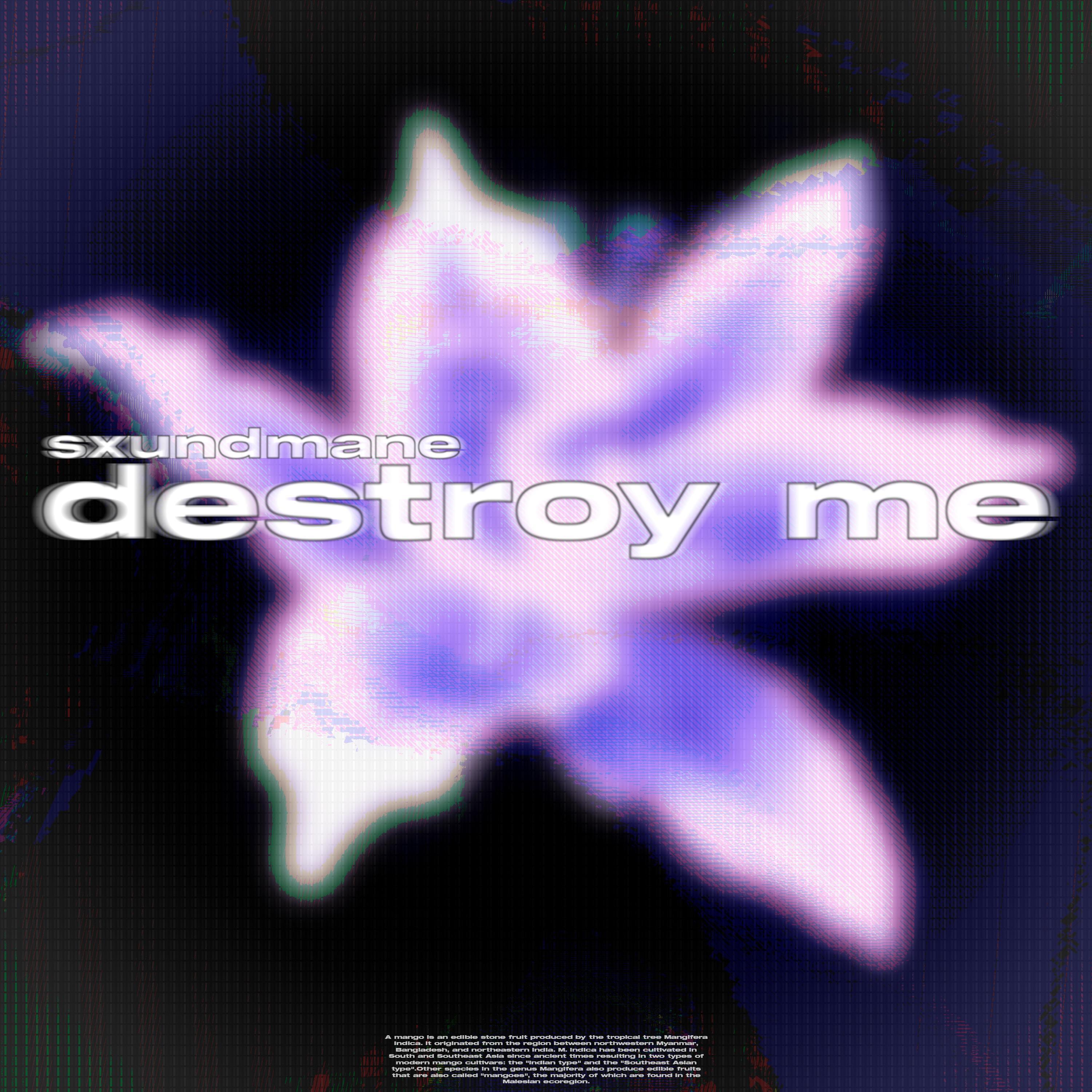 Постер альбома destroy me