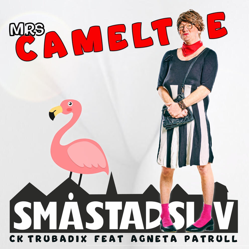 Релиз Mrs Cameltoe
