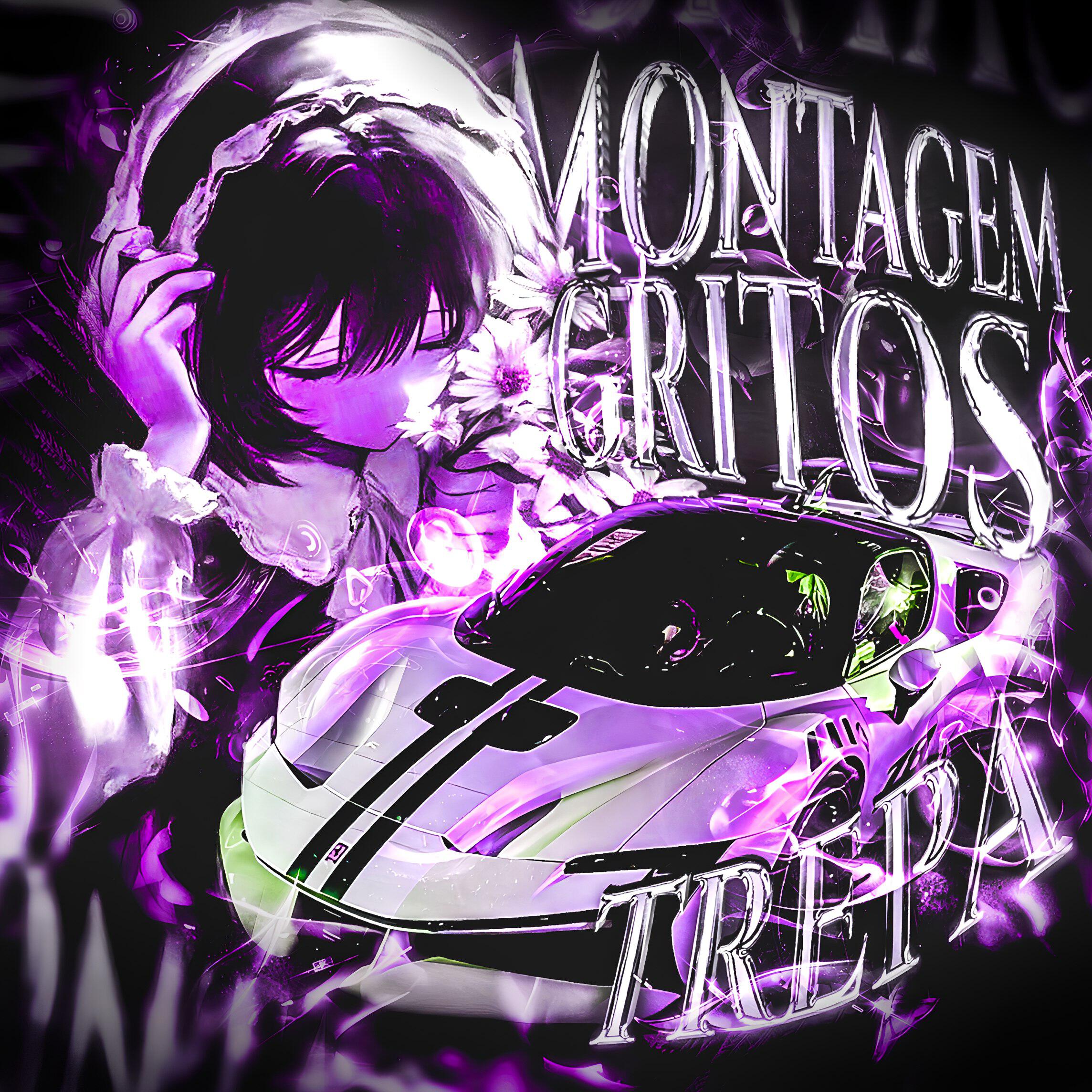 Релиз MONTAGEM GRITOS TREPA