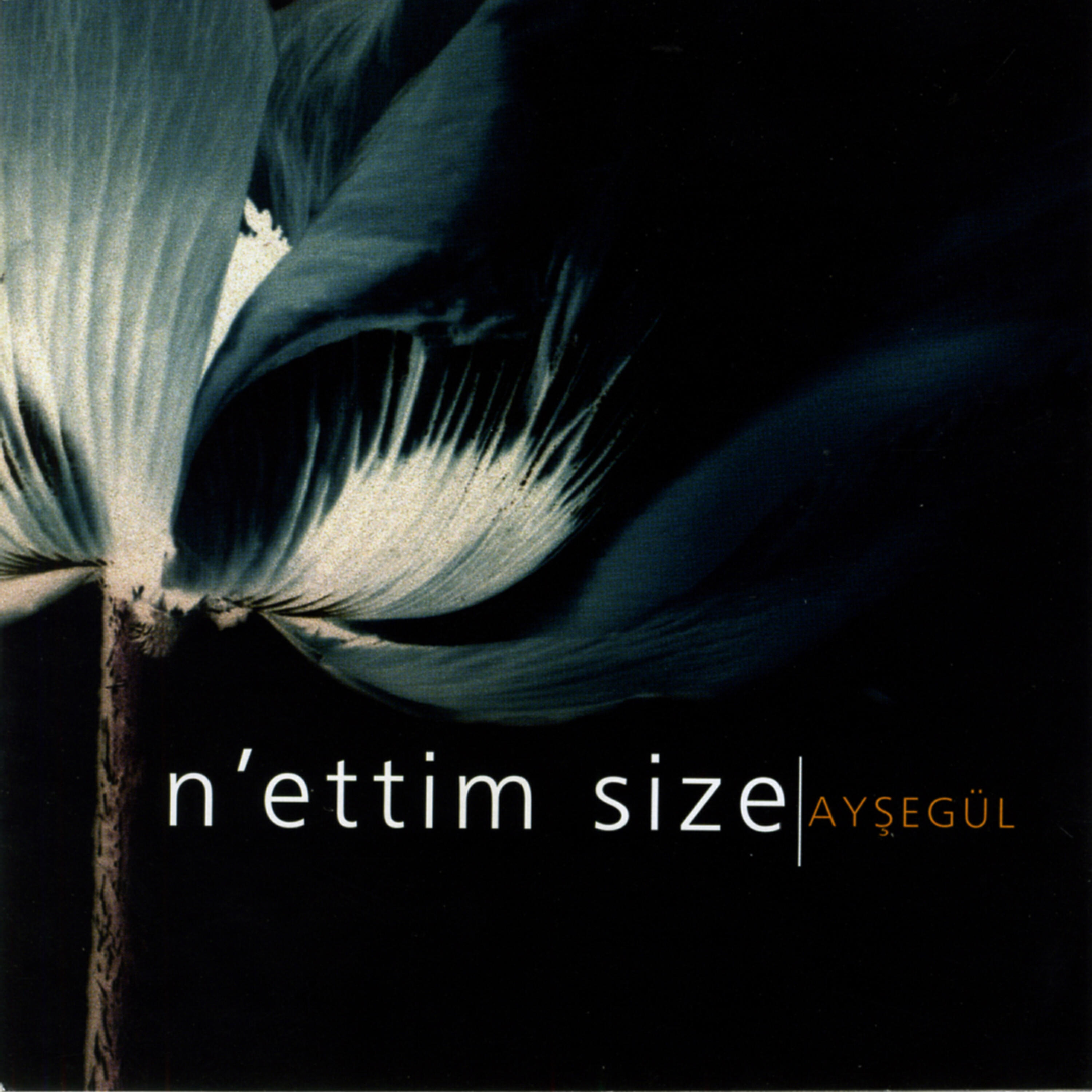 Релиз N'ettim Size