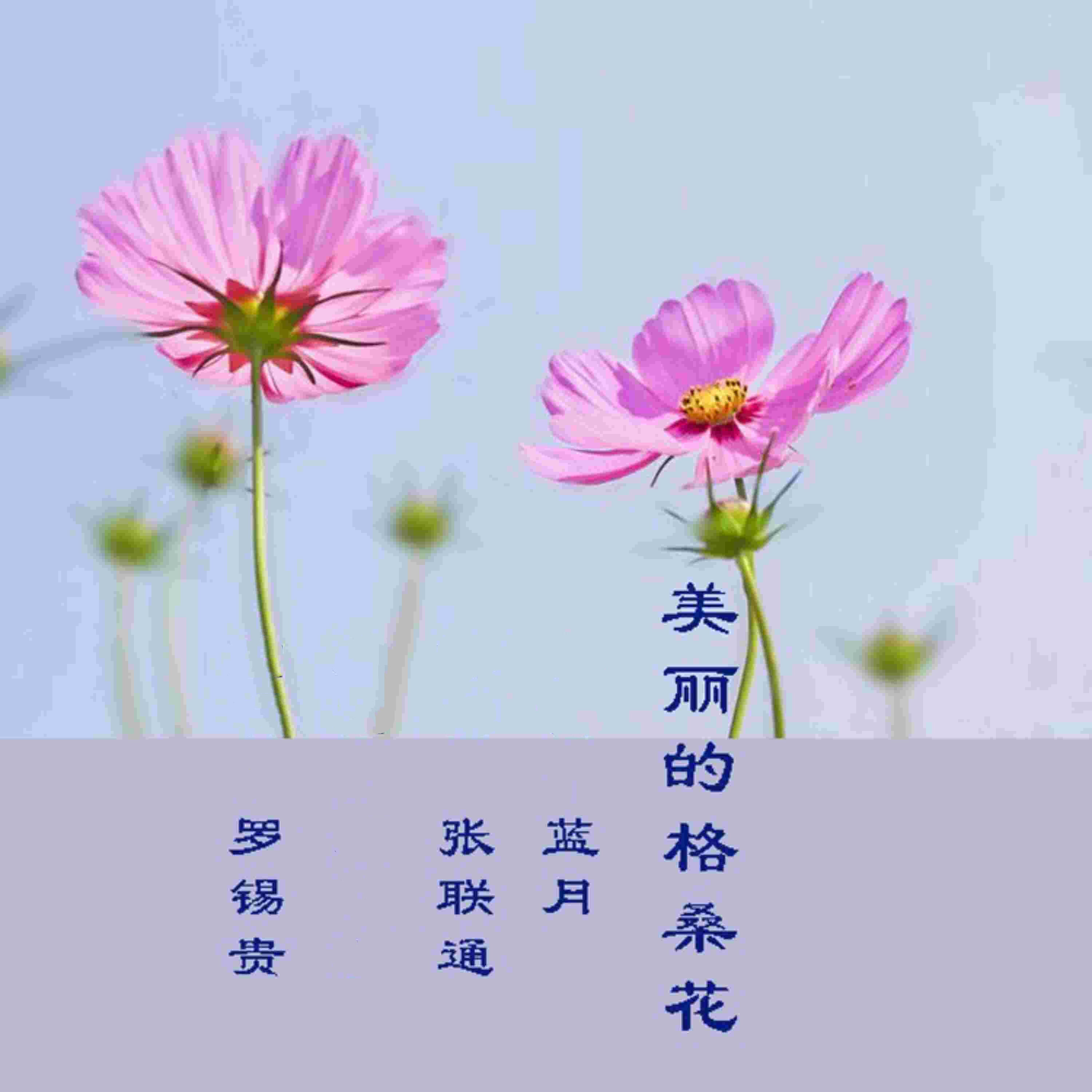 Релиз 美丽的格桑花