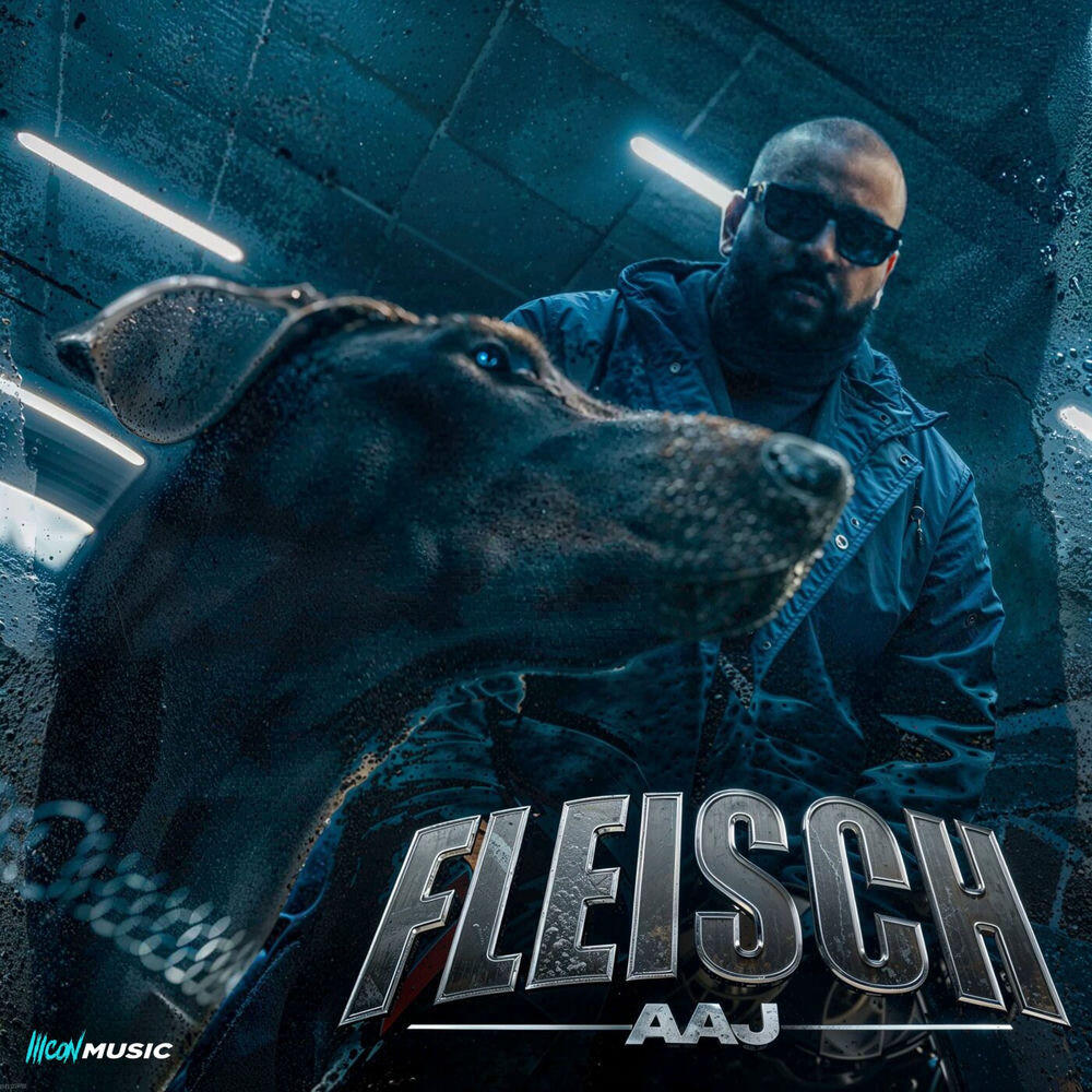 Релиз Fleisch