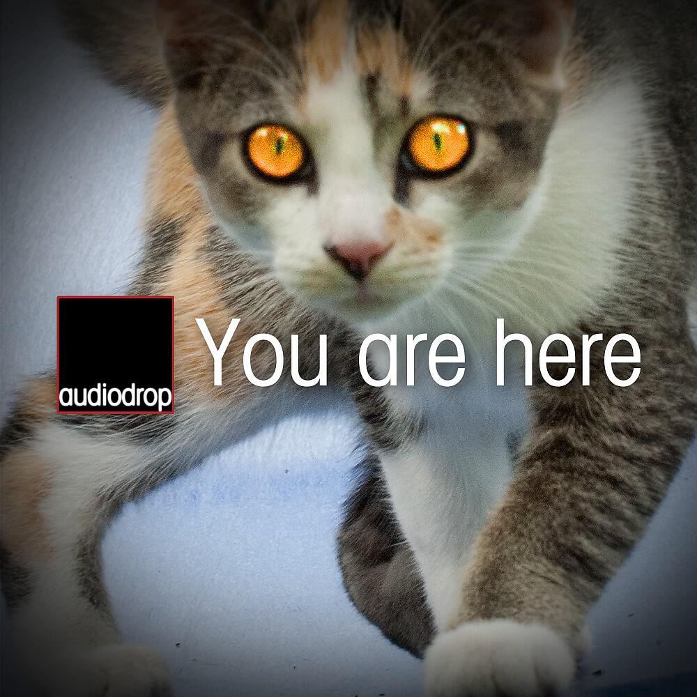 Релиз You Are Here