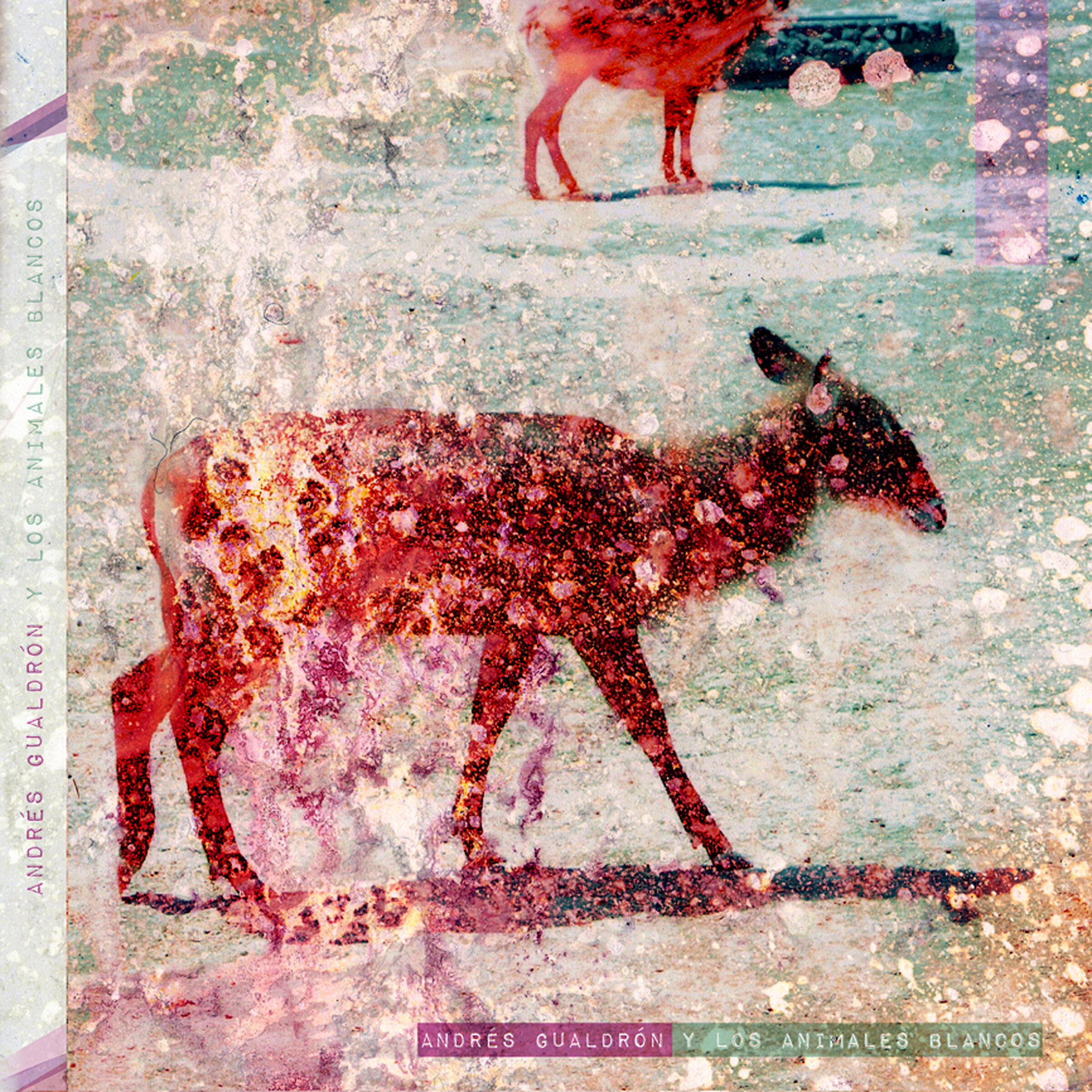 Релиз Andrés Gualdrón y los Animales Blancos