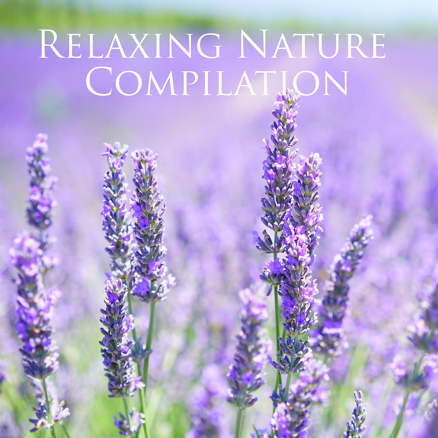 Релиз Calming Songs 2018. Water Sounds for Calm Down