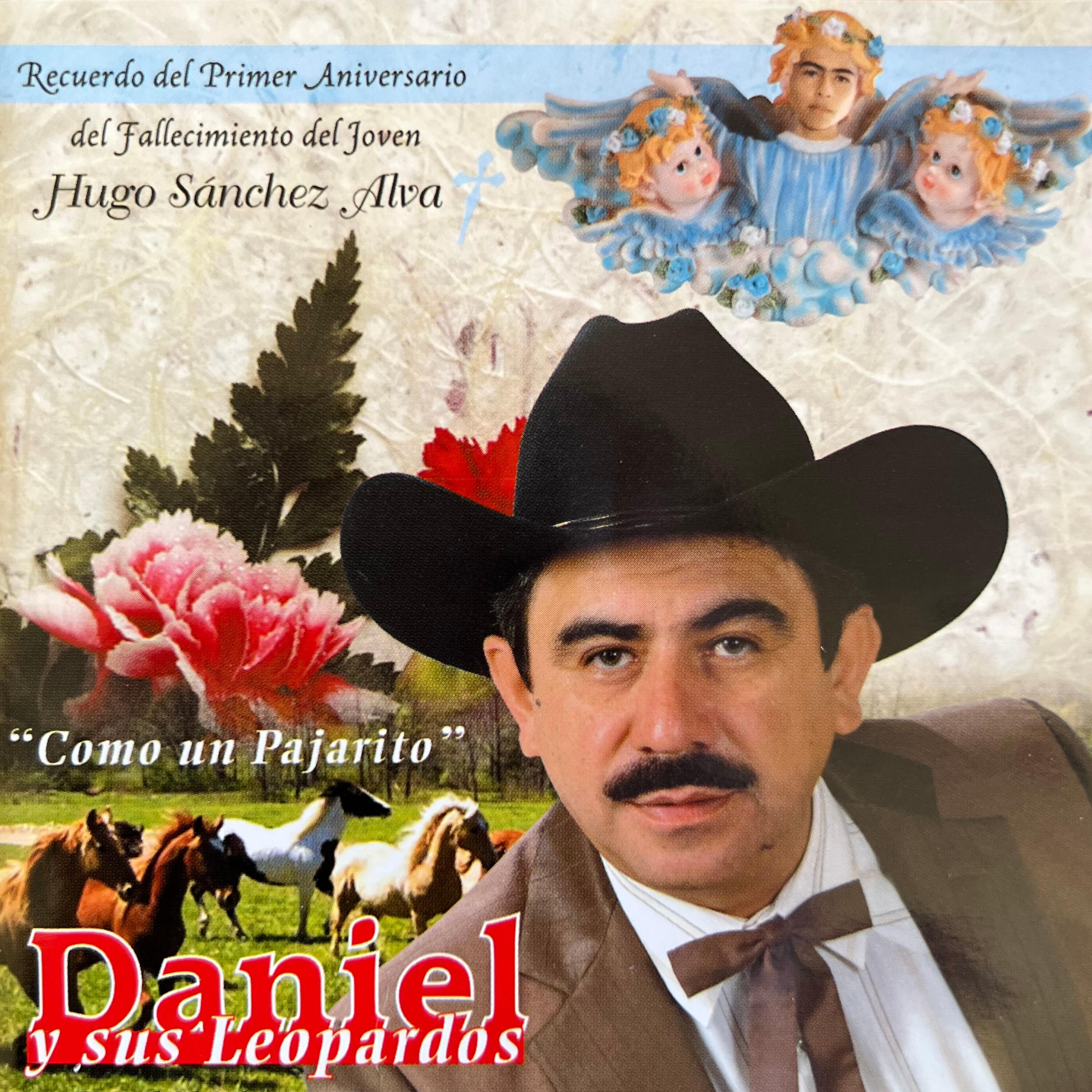 Релиз Como un Pajarito