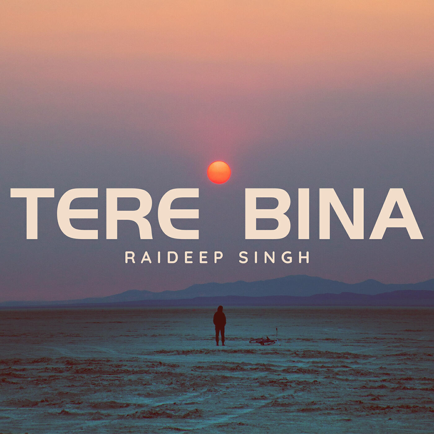Релиз Tere Bina