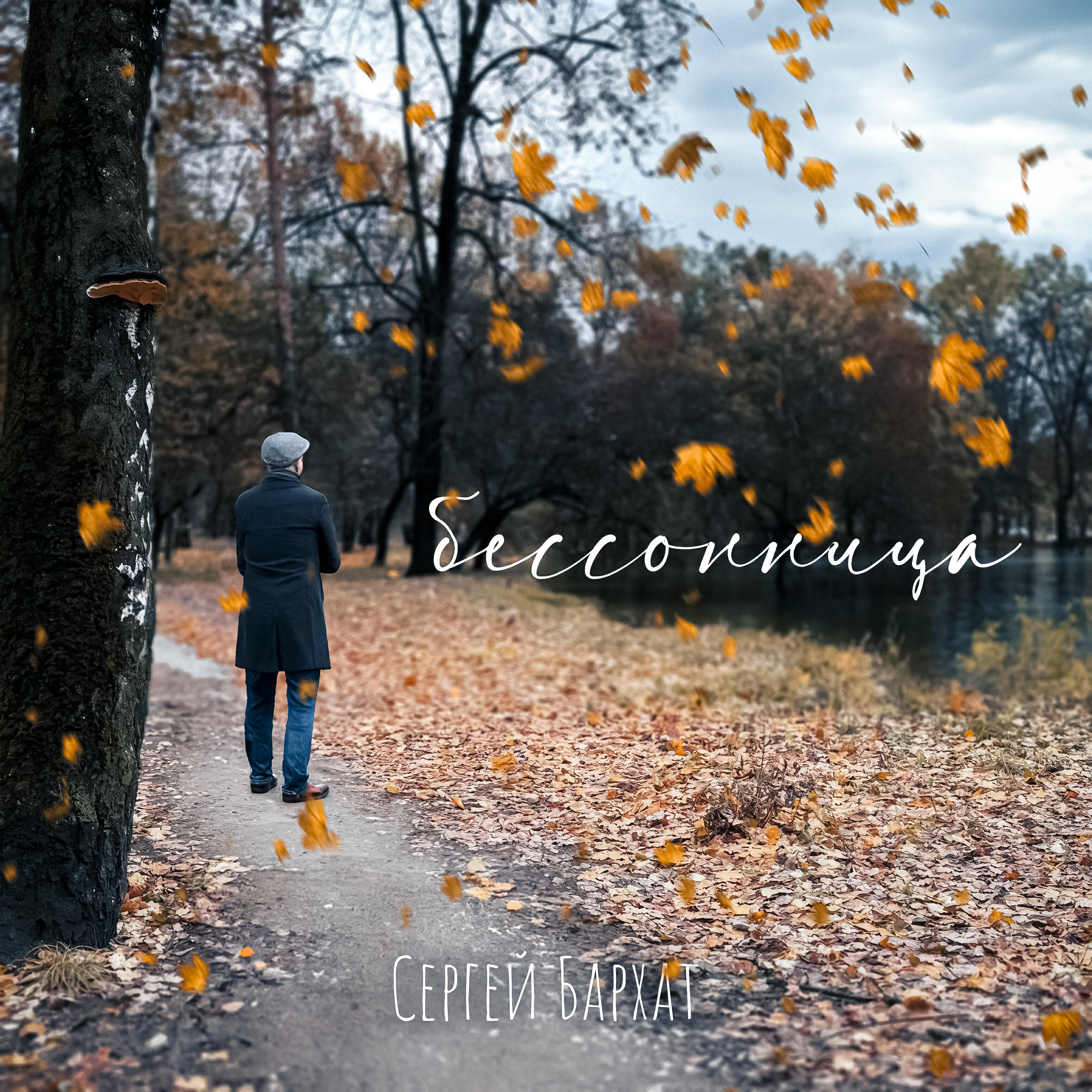 Релиз Бессонница