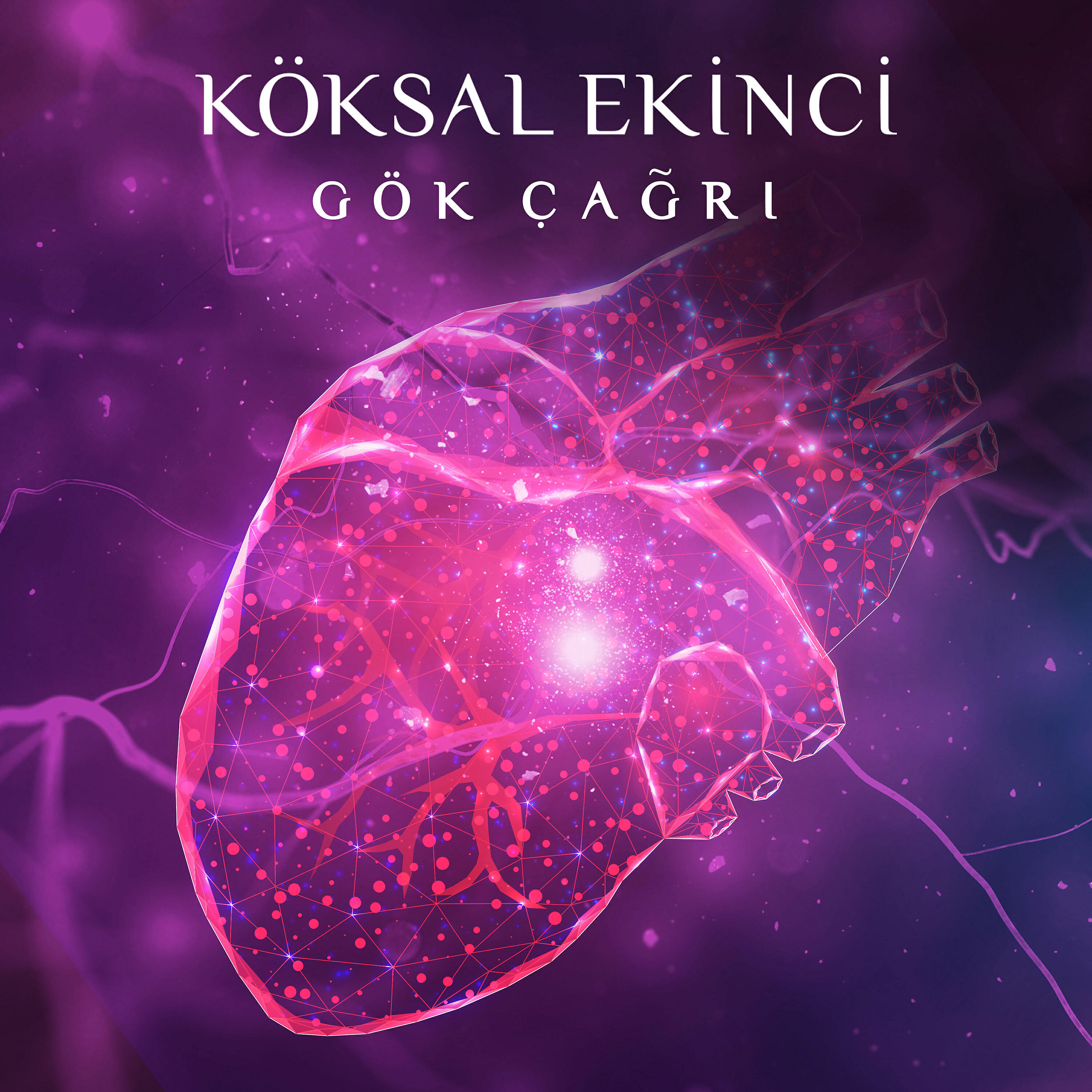 Релиз Gök Çağrı